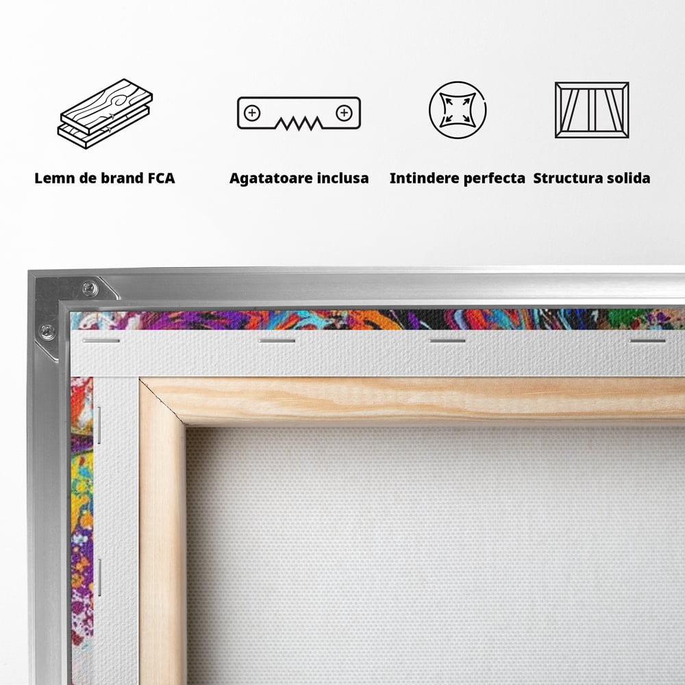 Tablou Canvas Premium, LuxCanva® G1081, Energia Creativitatii, Explozie, Culoare, Haos, Femeie, Privire, Artistic, Expozitie, Living, Dormitor