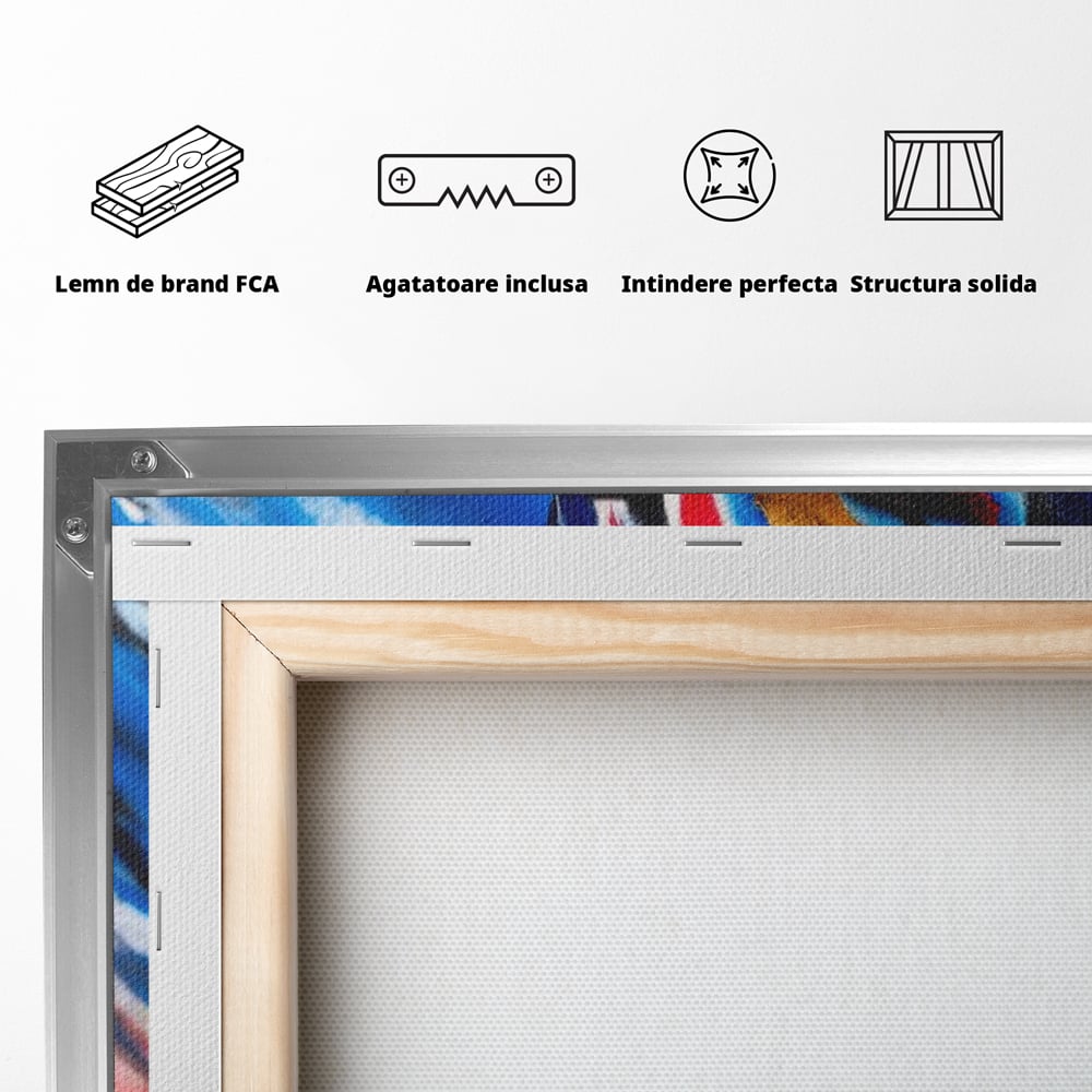 Leinwand Premium Canvas Wandkunst, LuxCanva® G1088, Frau Avatar, Regenbogen, Charisma, Augen, Grün, Augen, Grün, Blick, Gesicht, Schatten, Herr, Foto, Shooting, Wohnen, Schlafzimmer