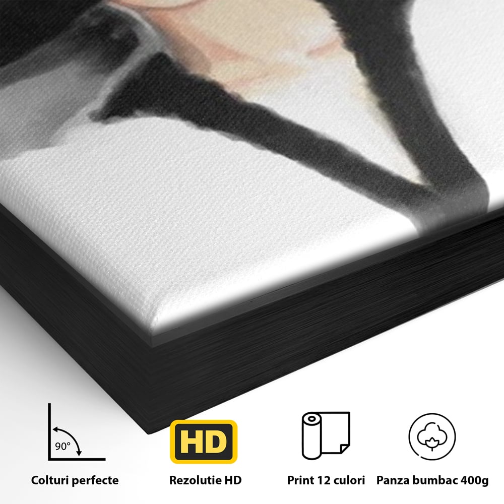 Tablou Canvas Premium, LuxCanva® G1106, Coperta Vogue, Lady, Stil, Eleganta, Moda, Fashion, Catwalk, Chic, Silueta, Palarie, Diva, Living, Dormitor