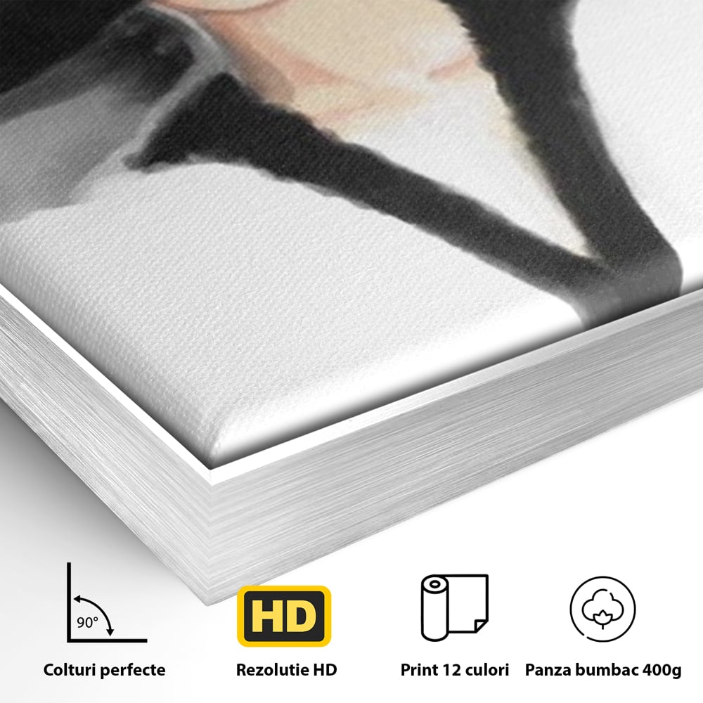 Tablou Canvas Premium, LuxCanva® G1106, Coperta Vogue, Lady, Stil, Eleganta, Moda, Fashion, Catwalk, Chic, Silueta, Palarie, Diva, Living, Dormitor