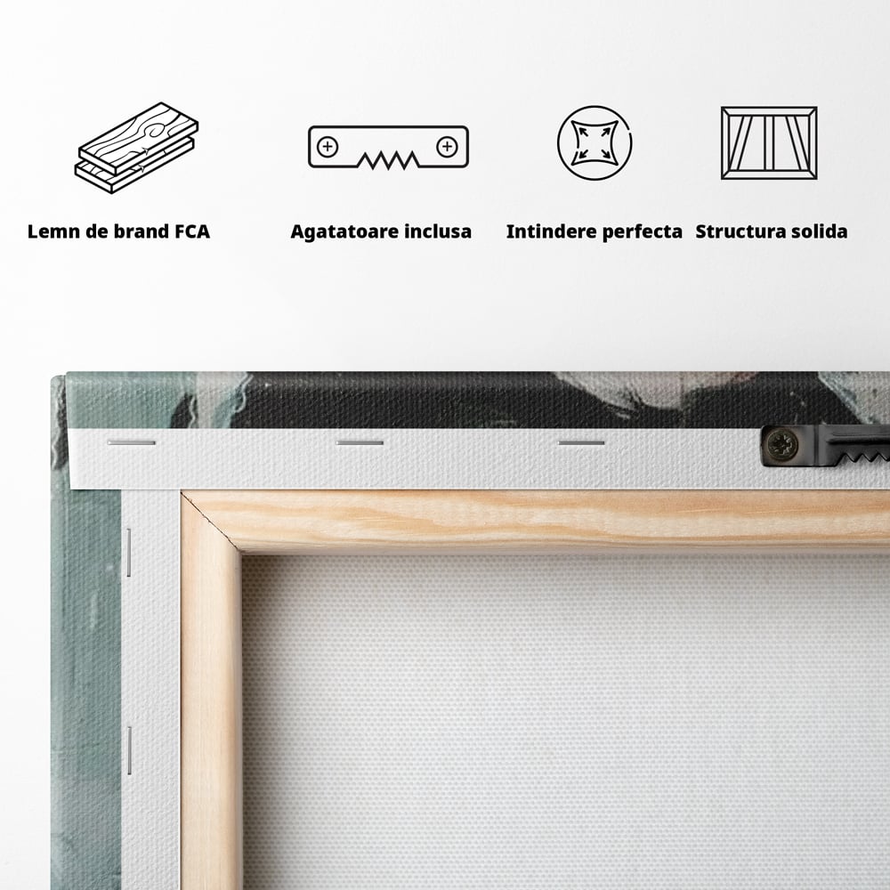 Tablou Canvas Premium, LuxCanva® G1109, Inger Cazut, Umbre, Intunecat, Obscur, Vraja, Maleficient, Gotic, Rebela, Mister, Regina, Living, Dormitor