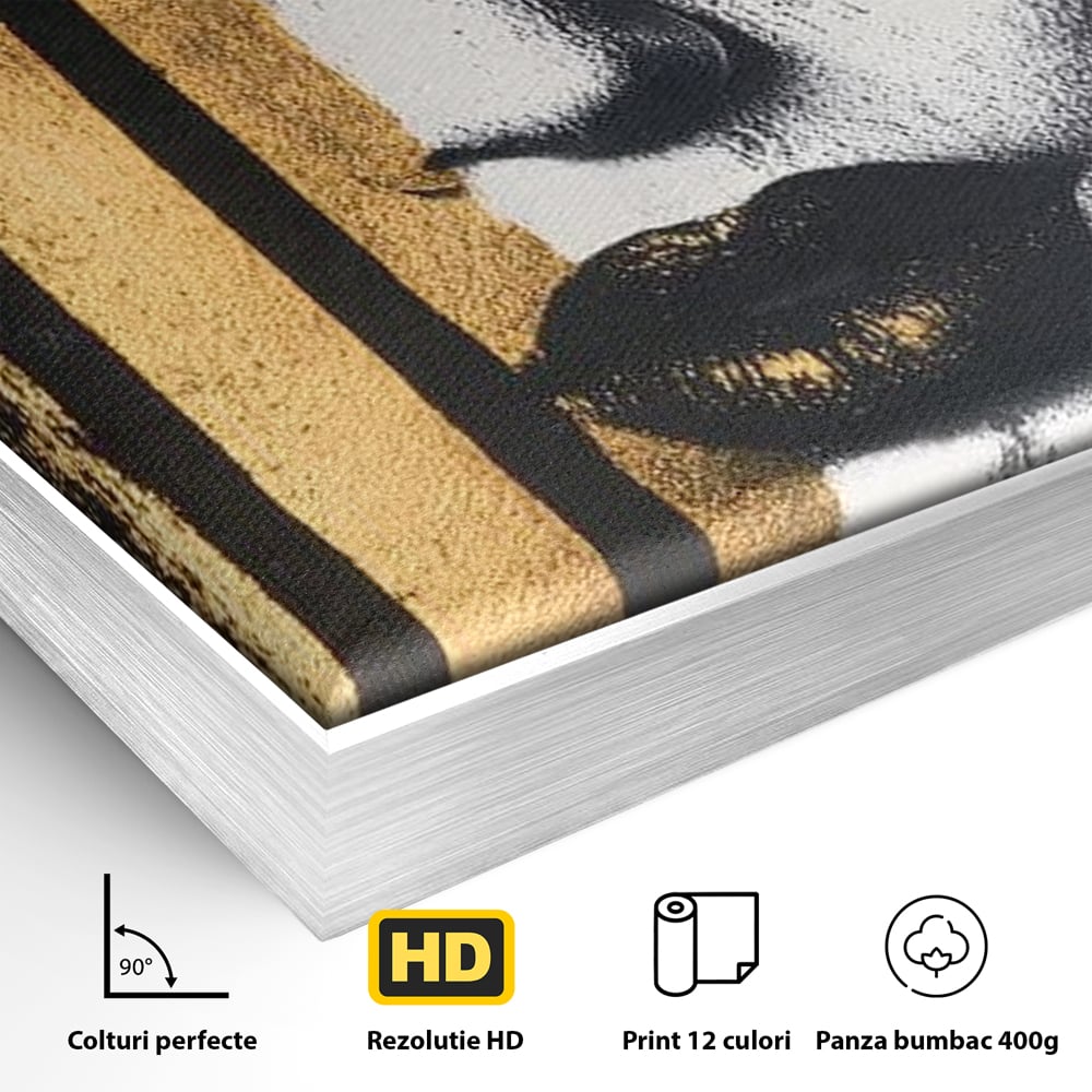 Tablou Canvas Premium, LuxCanva® G1147, Forta Unei Priviri, Privire, Intensa, Texturat, Arta, Mister, Fashion, Lux, Dramatism, Frumusete, Glamour, Metalic, Birou, Living