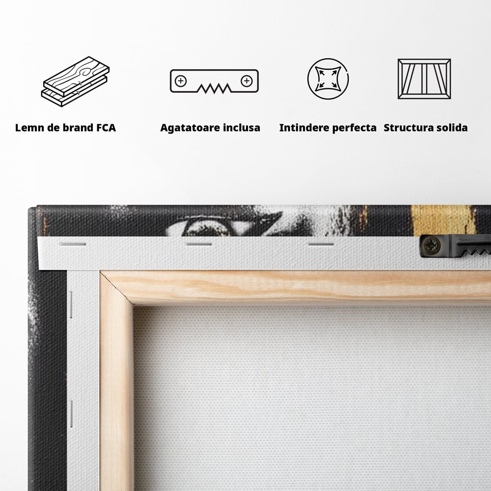 Tablou Canvas Premium, LuxCanva® G1148, Femeia din Umbre, Mister, Regina, Imperial, Coroana, Razboinica, Misticism, Expresivitate, Buze, Chip, Putere, Birou, Living, Dormitor