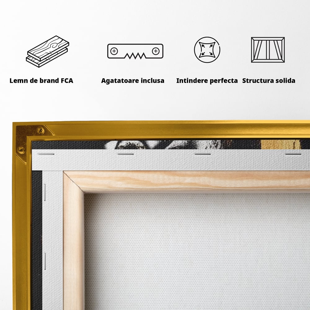 Tablou Canvas Premium, LuxCanva® G1148, Femeia din Umbre, Mister, Regina, Imperial, Coroana, Razboinica, Misticism, Expresivitate, Buze, Chip, Putere, Birou, Living, Dormitor