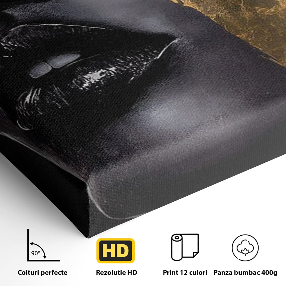 Tablou Canvas Premium, LuxCanva® G1149, Aurul din Intuneric, Queen, Eclipsa, Chip, Zeita, Magie, Vis, Ochi, Inchisi, Glamour, Sofisticat, Lux, Senzualitate, Negru, Birou, Living, Dormitor
