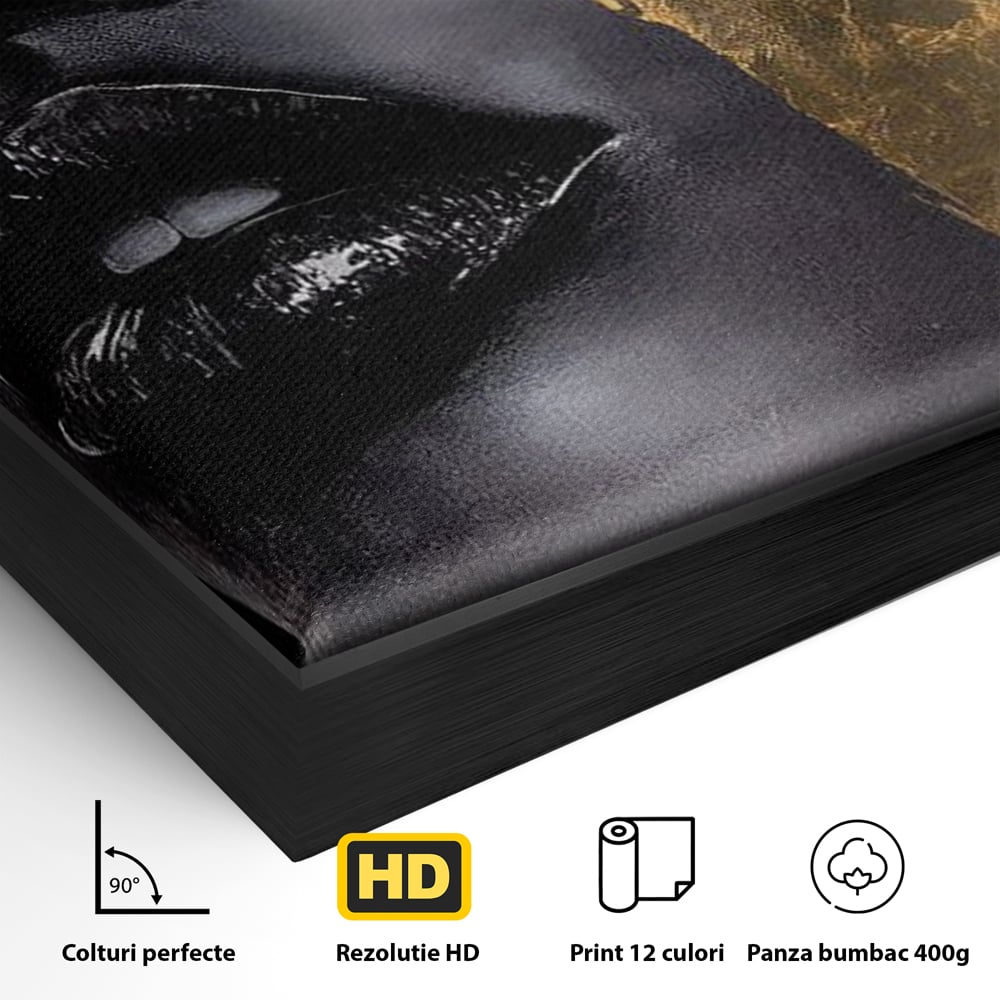 Tablou Canvas Premium, LuxCanva® G1149, Aurul din Intuneric, Queen, Eclipsa, Chip, Zeita, Magie, Vis, Ochi, Inchisi, Glamour, Sofisticat, Lux, Senzualitate, Negru, Birou, Living, Dormitor