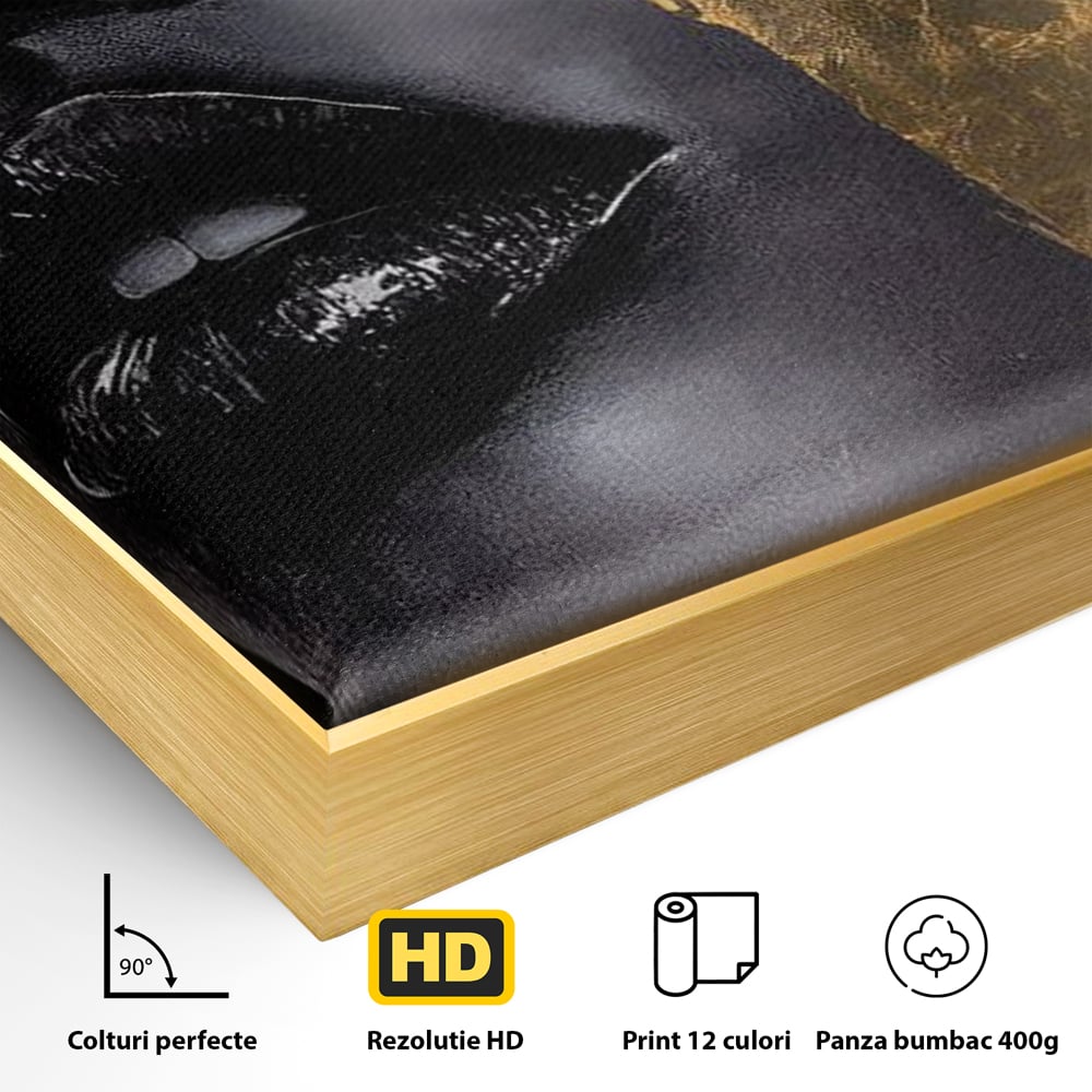Tablou Canvas Premium, LuxCanva® G1149, Aurul din Intuneric, Queen, Eclipsa, Chip, Zeita, Magie, Vis, Ochi, Inchisi, Glamour, Sofisticat, Lux, Senzualitate, Negru, Birou, Living, Dormitor