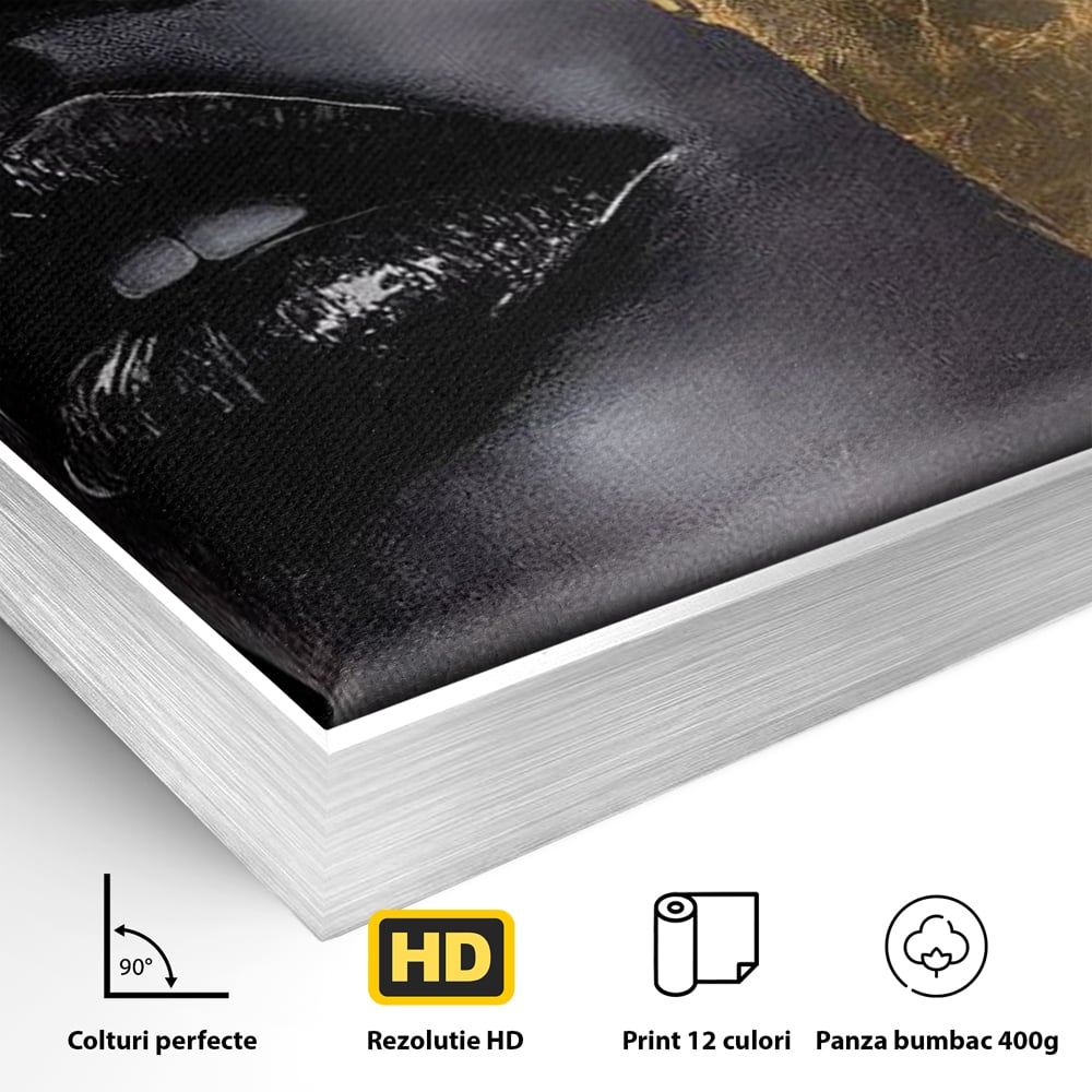 Tablou Canvas Premium, LuxCanva® G1149, Aurul din Intuneric, Queen, Eclipsa, Chip, Zeita, Magie, Vis, Ochi, Inchisi, Glamour, Sofisticat, Lux, Senzualitate, Negru, Birou, Living, Dormitor