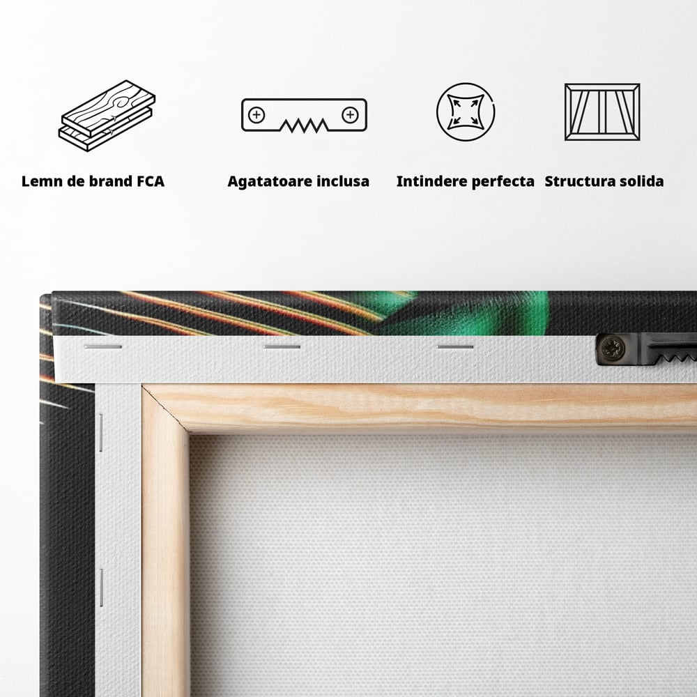 Tablou Canvas Premium, LuxCanva® G1159, Metamorfoza Verdelui, Modern, Expresiv, Portret, Verde, Negru, Futurist, Culori, Efecte, Vibrante, Optic, Raze, Profil, Femeie, Birou, Living, Dormitor