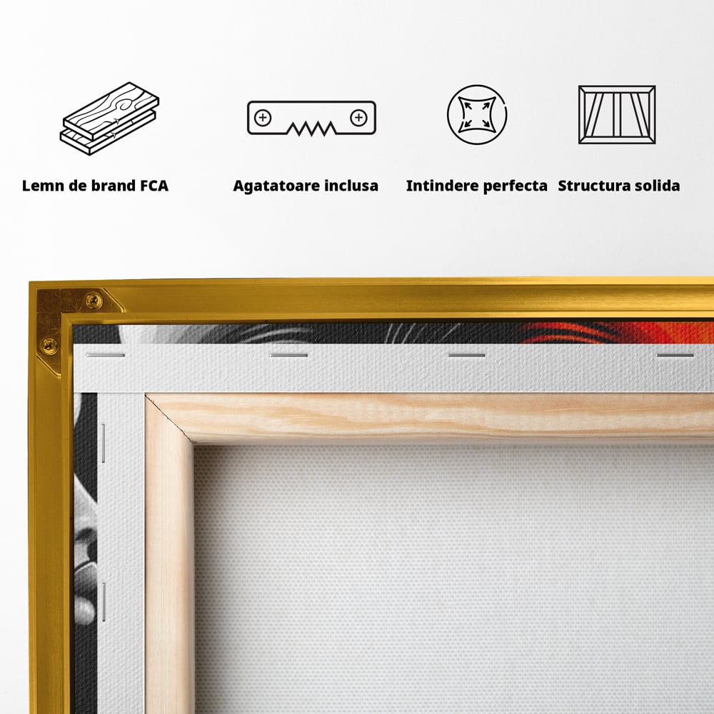 Tablou Canvas Premium, LuxCanva® G1161, Yin si Yang Feminin, Dualitate, Fete, Frumusete, Foc, Gheata, Opozitie, Dubla, Identitate, Lumini, Umbre, Stilizat, Armonie, Birou, Living, Dormitor