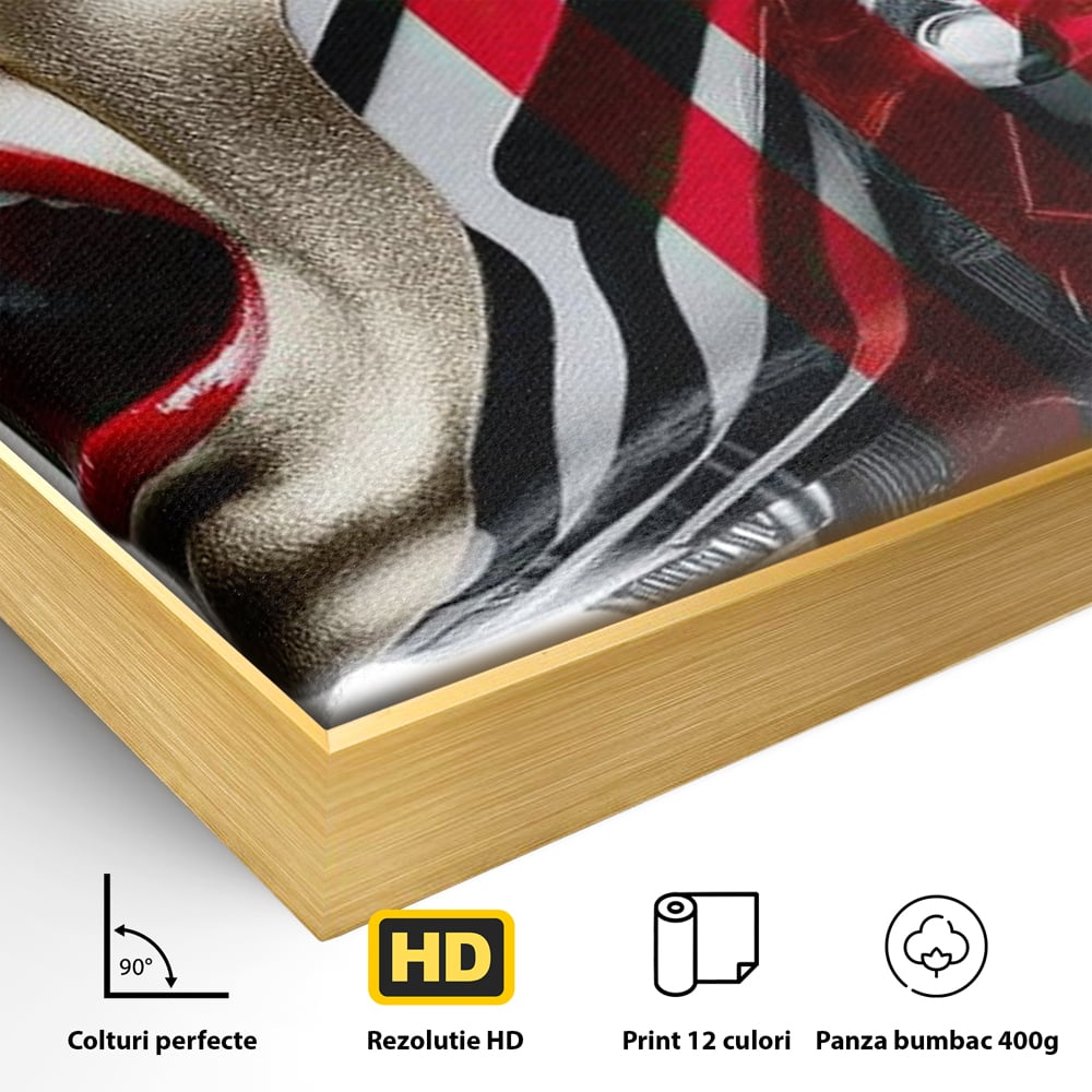 Tablou Canvas Premium, LuxCanva® G1162, Puterea Libertatii, Strigat, Viitor, Lanturi, Futurist, Rosu, Alb, Negru, Pasiune, Revolta, Punk, Metal, Urban, Rebeliune, Spirit, Birou, Living, Dormitor