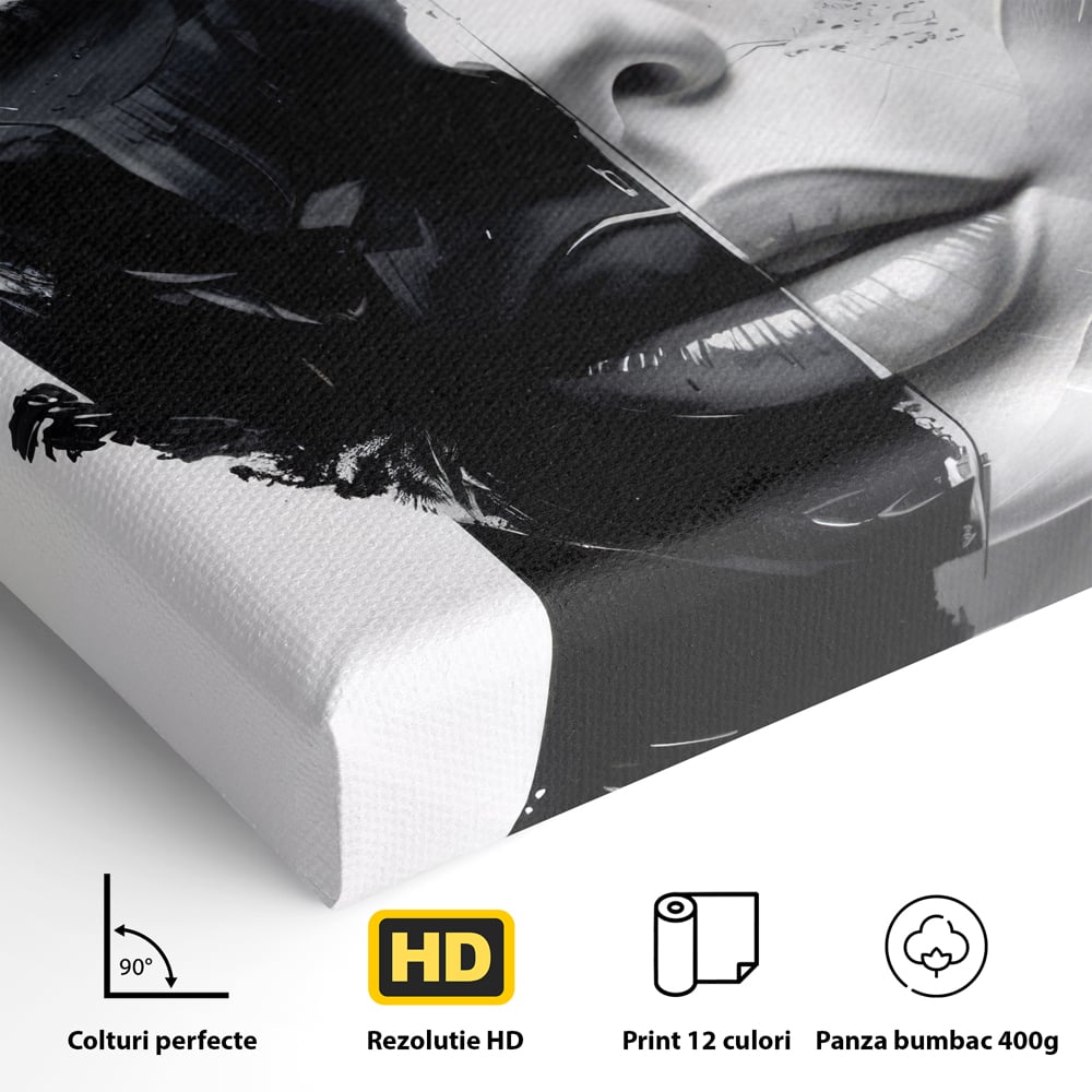 Tablou Canvas Premium, LuxCanva® G1163, Doua Fete, Un Suflet, Dualitate, Alb, Negru, Monocrom, Yin, Yang, Lumina, Impact, Negura, Armonie, Chipuri, Femei, Inima, Birou, Living, Dormitor