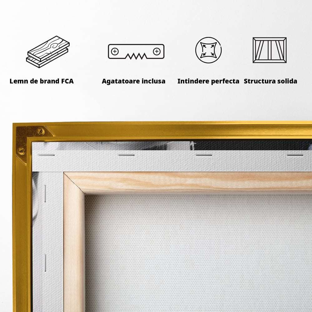 Tablou Canvas Premium, LuxCanva® G1163, Doua Fete, Un Suflet, Dualitate, Alb, Negru, Monocrom, Yin, Yang, Lumina, Impact, Negura, Armonie, Chipuri, Femei, Inima, Birou, Living, Dormitor
