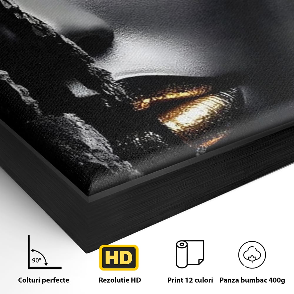 Tablou Canvas Premium, LuxCanva® G1172, Femeia din Abis, Aur, Umbra, Intunecat, Zeitate, Regina, Obscur, Alchimie, Suflet, Ochi, Masca, Tacere, Divinitate, Fashion, Arta, Birou, Living, Dormitor