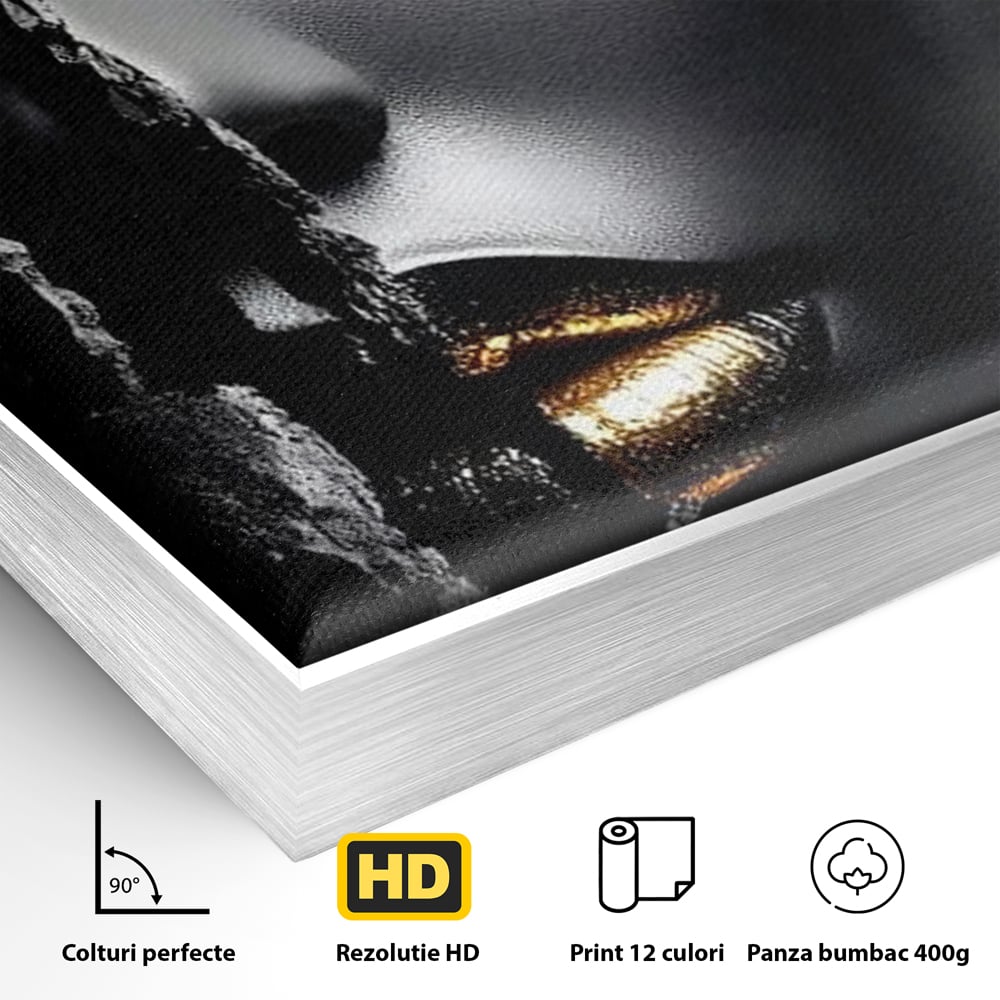 Tablou Canvas Premium, LuxCanva® G1172, Femeia din Abis, Aur, Umbra, Intunecat, Zeitate, Regina, Obscur, Alchimie, Suflet, Ochi, Masca, Tacere, Divinitate, Fashion, Arta, Birou, Living, Dormitor
