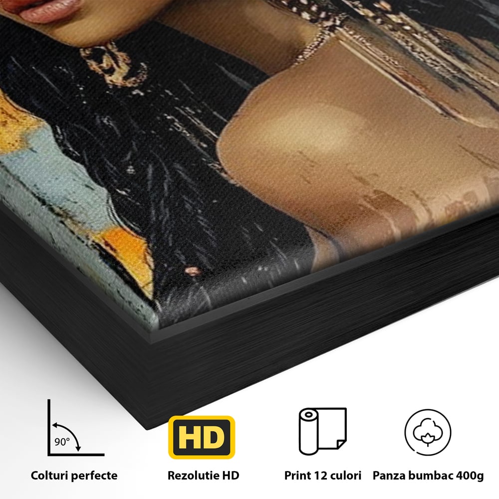 Tablou Canvas Premium, LuxCanva® G1176, Petale in Parul Noptii, Printesa, Amurg, Oriental, Privire, Rafinament, Texturat, Mister, Roz, Gri, Senzualitate, Umbra, Birou, Living, Dormitor
