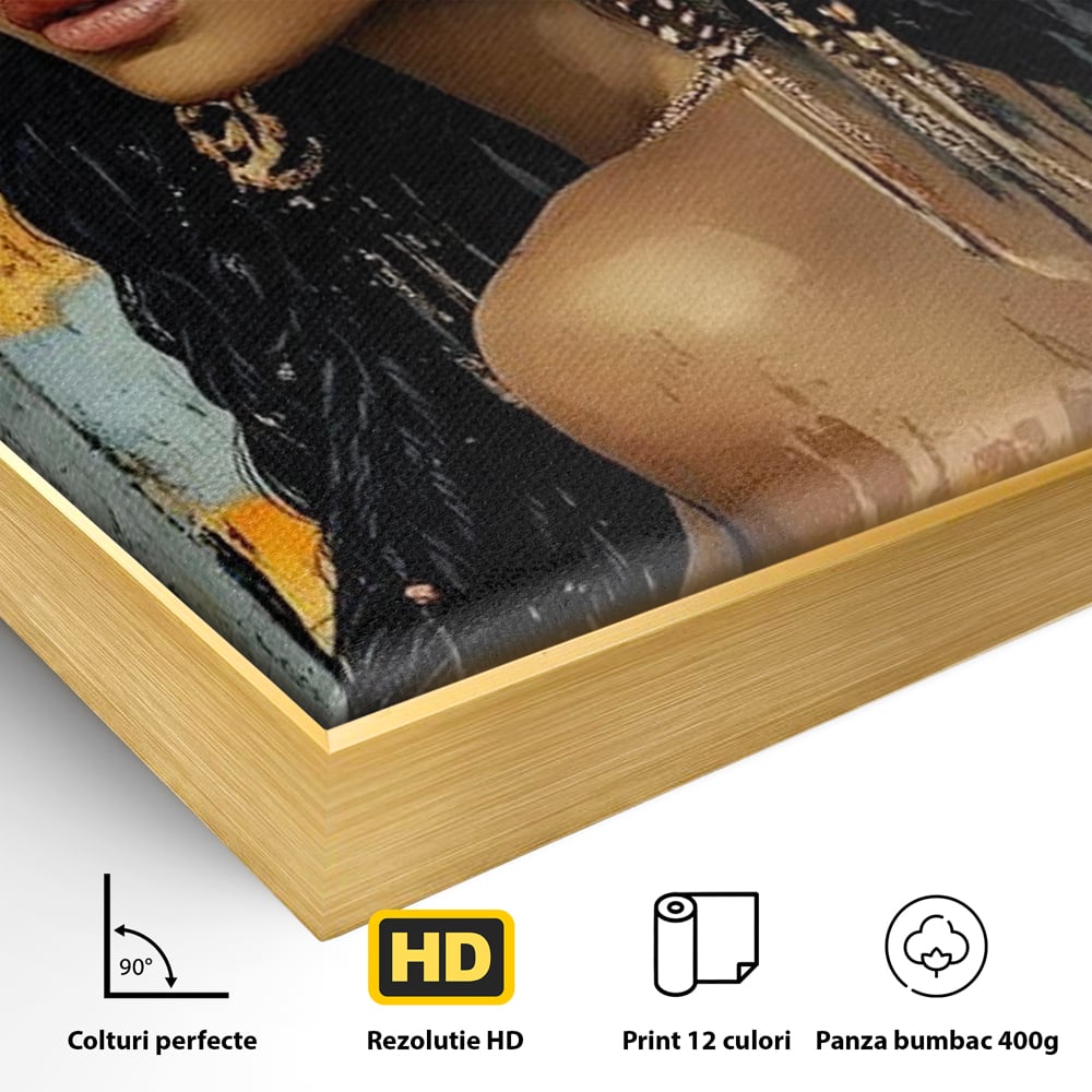 Tablou Canvas Premium, LuxCanva® G1176, Petale in Parul Noptii, Printesa, Amurg, Oriental, Privire, Rafinament, Texturat, Mister, Roz, Gri, Senzualitate, Umbra, Birou, Living, Dormitor