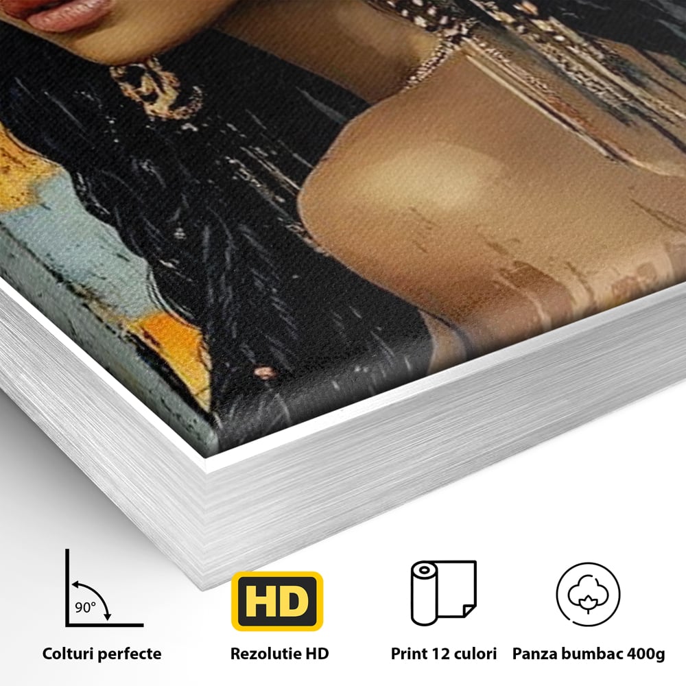 Tablou Canvas Premium, LuxCanva® G1176, Petale in Parul Noptii, Printesa, Amurg, Oriental, Privire, Rafinament, Texturat, Mister, Roz, Gri, Senzualitate, Umbra, Birou, Living, Dormitor