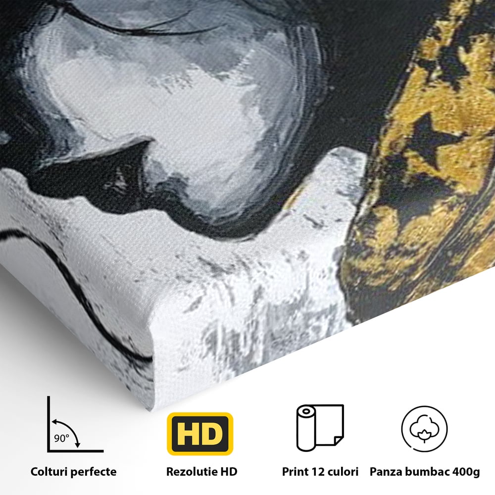 Tablou Canvas Premium, LuxCanva® G1194, Femeia cu Palarie Stelara, Auriu, Negru, Enigma, Stele, Glamour, Western, Esarfa, Abis, Ecou, Nocturna, Frumusete, Birou, Living, Dormitor
