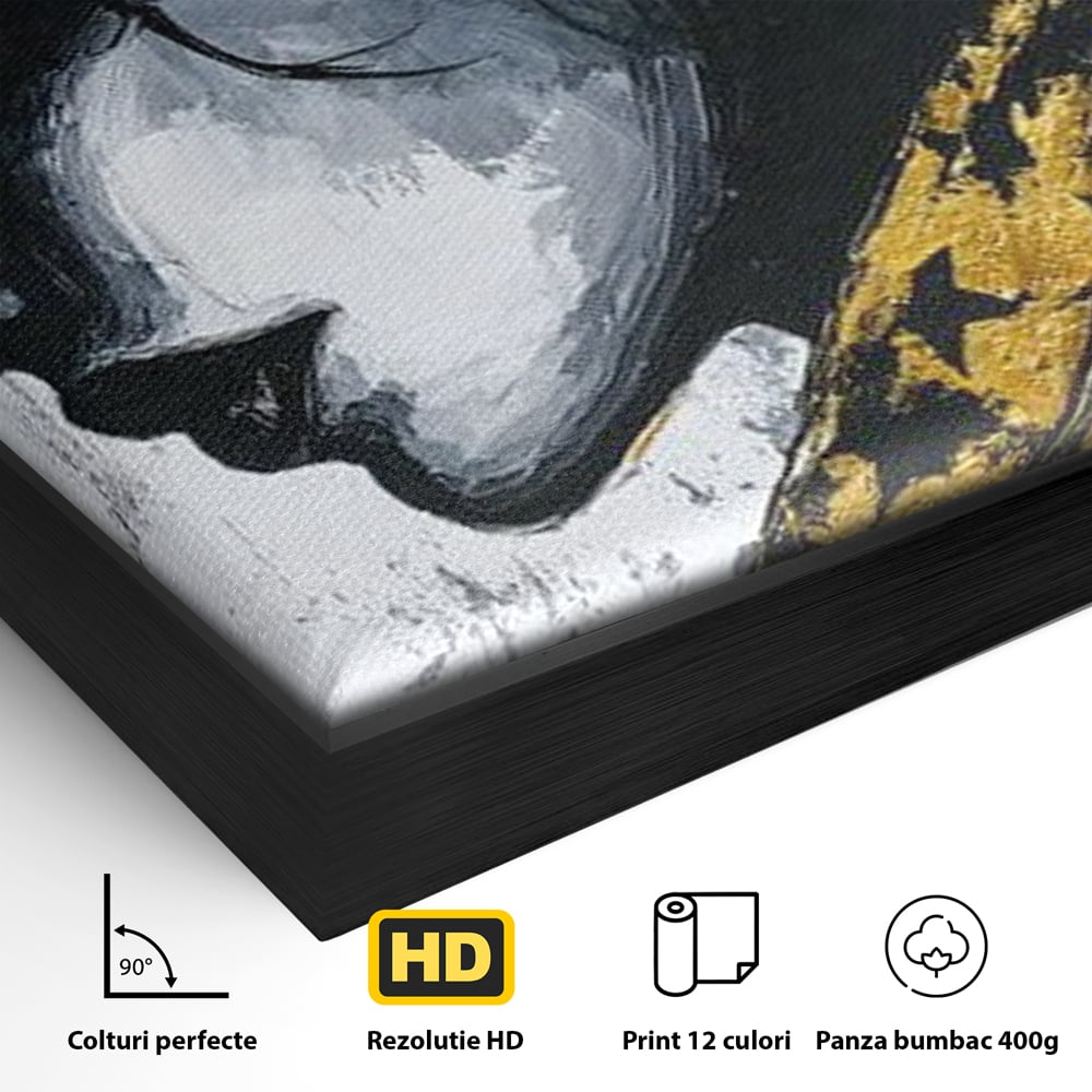 Tablou Canvas Premium, LuxCanva® G1194, Femeia cu Palarie Stelara, Auriu, Negru, Enigma, Stele, Glamour, Western, Esarfa, Abis, Ecou, Nocturna, Frumusete, Birou, Living, Dormitor