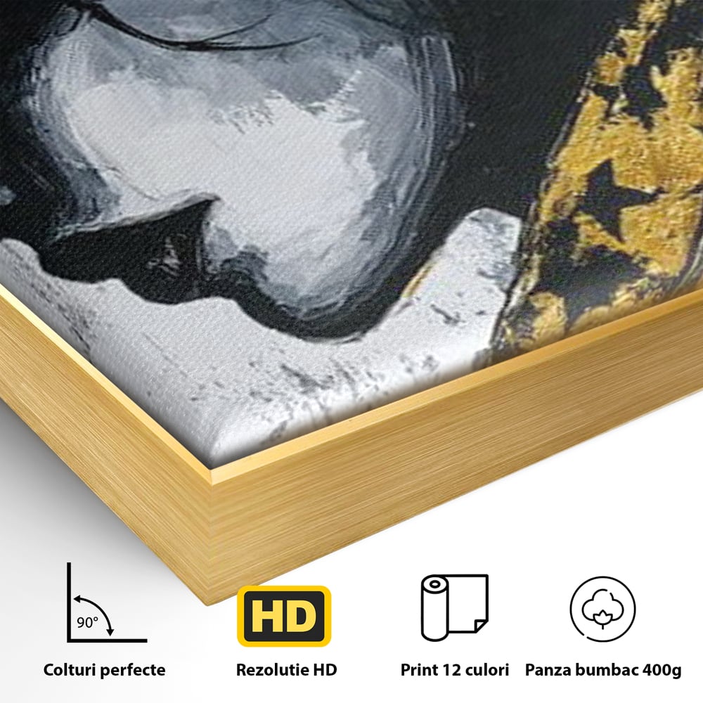 Tablou Canvas Premium, LuxCanva® G1194, Femeia cu Palarie Stelara, Auriu, Negru, Enigma, Stele, Glamour, Western, Esarfa, Abis, Ecou, Nocturna, Frumusete, Birou, Living, Dormitor