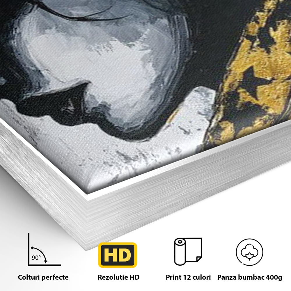 Tablou Canvas Premium, LuxCanva® G1194, Femeia cu Palarie Stelara, Auriu, Negru, Enigma, Stele, Glamour, Western, Esarfa, Abis, Ecou, Nocturna, Frumusete, Birou, Living, Dormitor