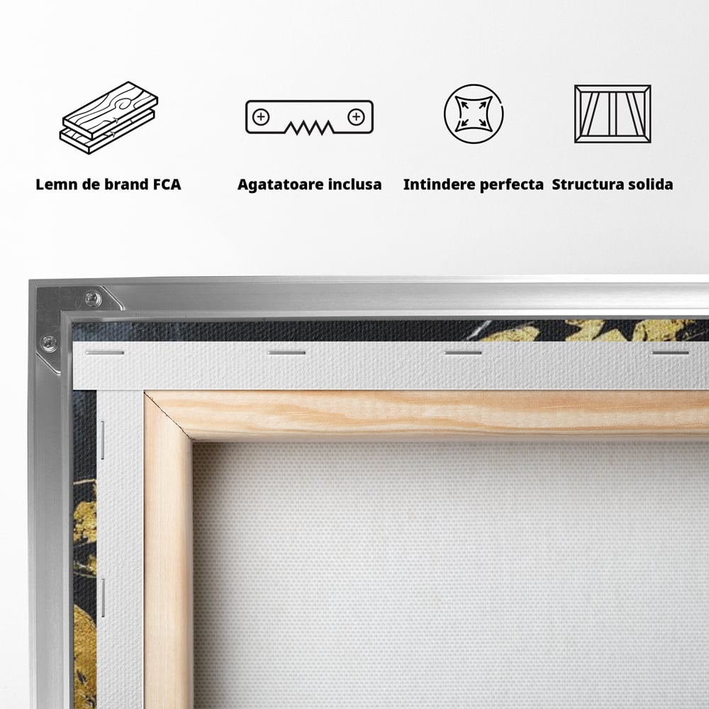 Tablou Canvas Premium, LuxCanva® G1194, Femeia cu Palarie Stelara, Auriu, Negru, Enigma, Stele, Glamour, Western, Esarfa, Abis, Ecou, Nocturna, Frumusete, Birou, Living, Dormitor