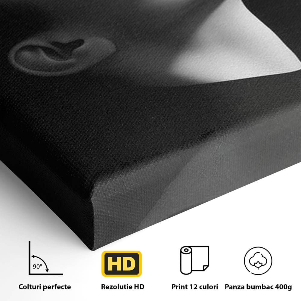 Tablou Canvas Premium, LuxCanva® G1195, Lumina Divina, Respiratie, Raza, Tacere, Femeie, Contemplare, Alb, Negru, Atemporal, Gratie, Light, Dorinta, Divin, Birou, Living, Dormitor