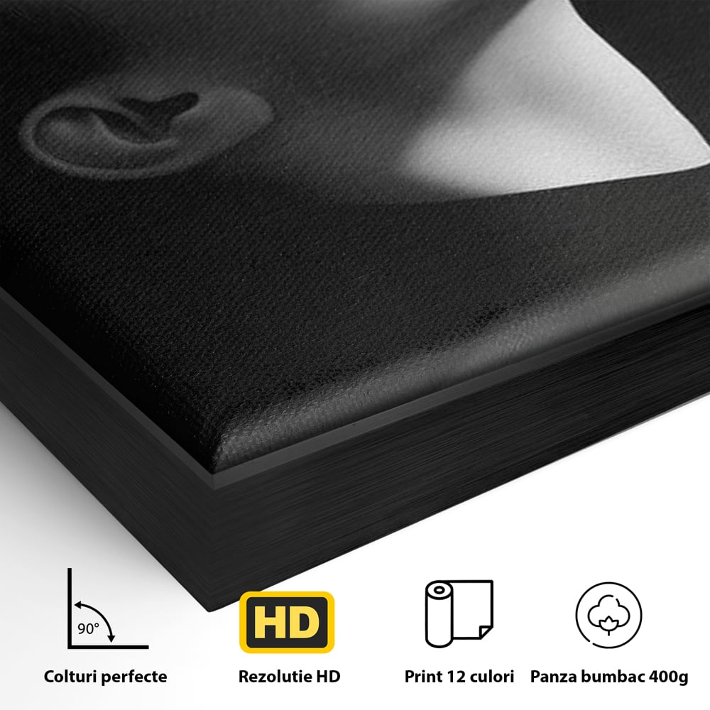 Tablou Canvas Premium, LuxCanva® G1195, Lumina Divina, Respiratie, Raza, Tacere, Femeie, Contemplare, Alb, Negru, Atemporal, Gratie, Light, Dorinta, Divin, Birou, Living, Dormitor