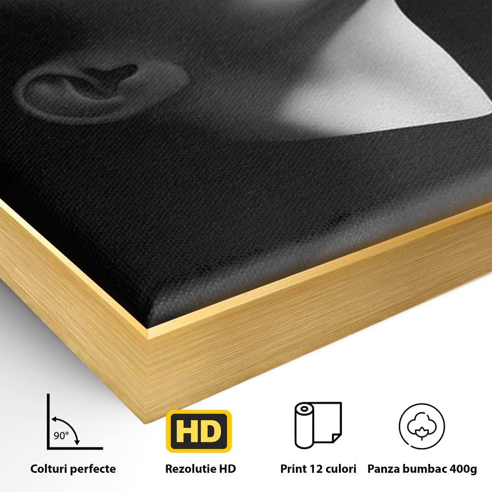 Tablou Canvas Premium, LuxCanva® G1195, Lumina Divina, Respiratie, Raza, Tacere, Femeie, Contemplare, Alb, Negru, Atemporal, Gratie, Light, Dorinta, Divin, Birou, Living, Dormitor