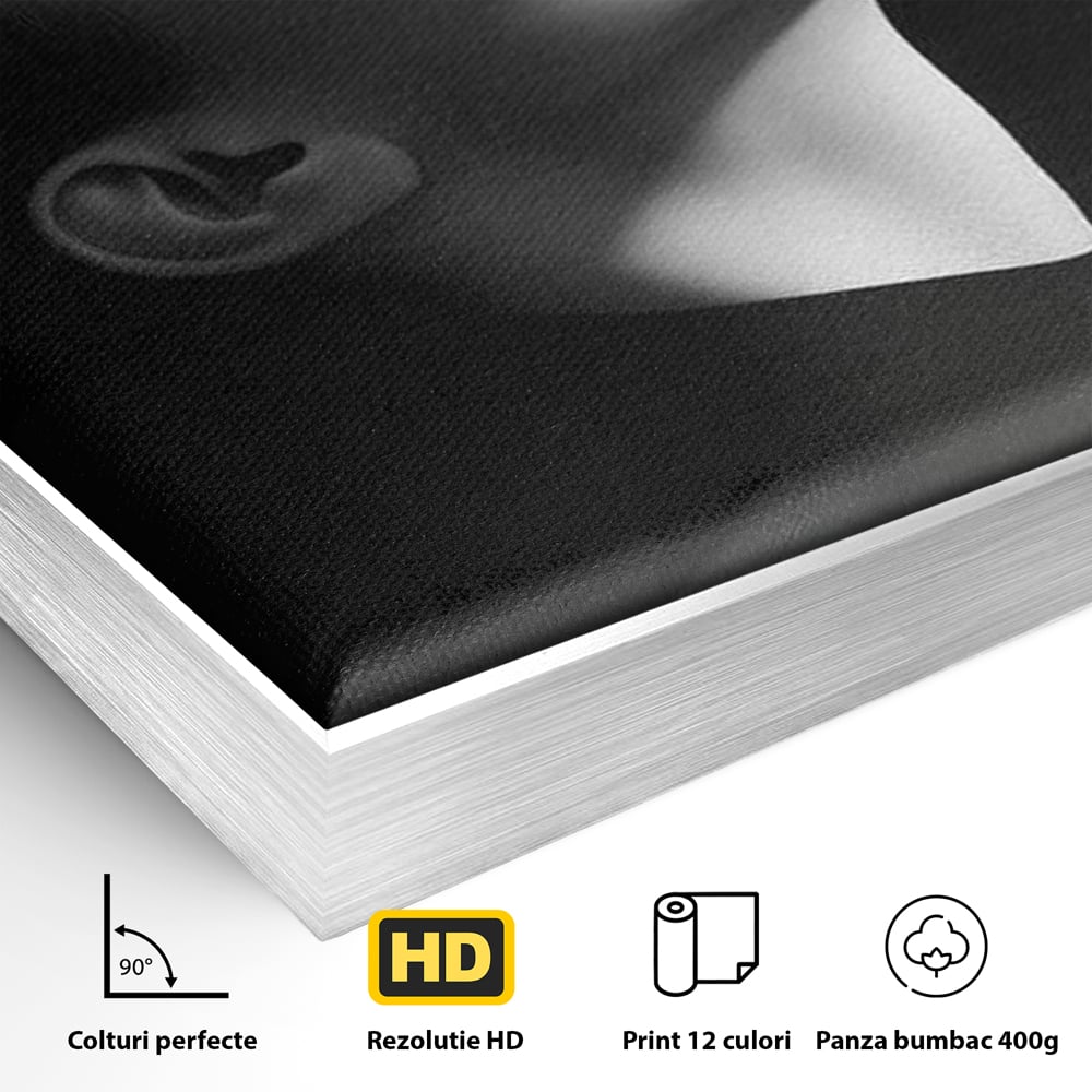 Tablou Canvas Premium, LuxCanva® G1195, Lumina Divina, Respiratie, Raza, Tacere, Femeie, Contemplare, Alb, Negru, Atemporal, Gratie, Light, Dorinta, Divin, Birou, Living, Dormitor