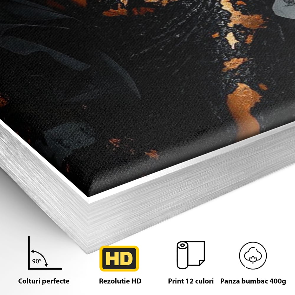 Tablou Canvas Premium, LuxCanva® G1196, Regina Couture, Eleganta, Flacara, Negru, Rochie, Noapte, Dans, Catifea, Incandescenta, Mitologie, Abis, Gratie, Vogue, Birou, Living, Dormitor