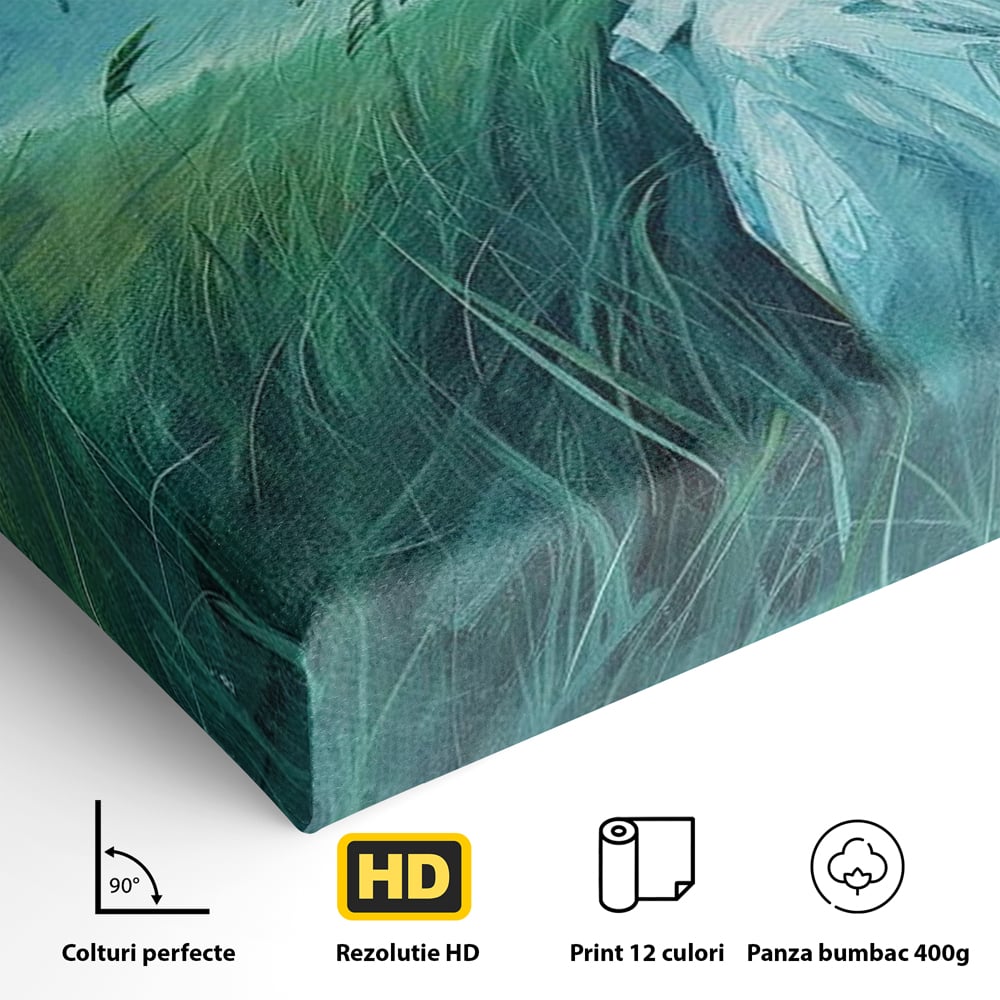 Leinwandbilder Premium, LuxCanva® G1201, Tanz mit dem Himmel, Atmen, Wind, Gesicht, Balance, Universum, Feld, Himmel, Sturm, Unendlichkeit, Erde, Rhythmus, Natur, Feuer, Gras, Leben, Büro, Wohnen, Schlafzimmer