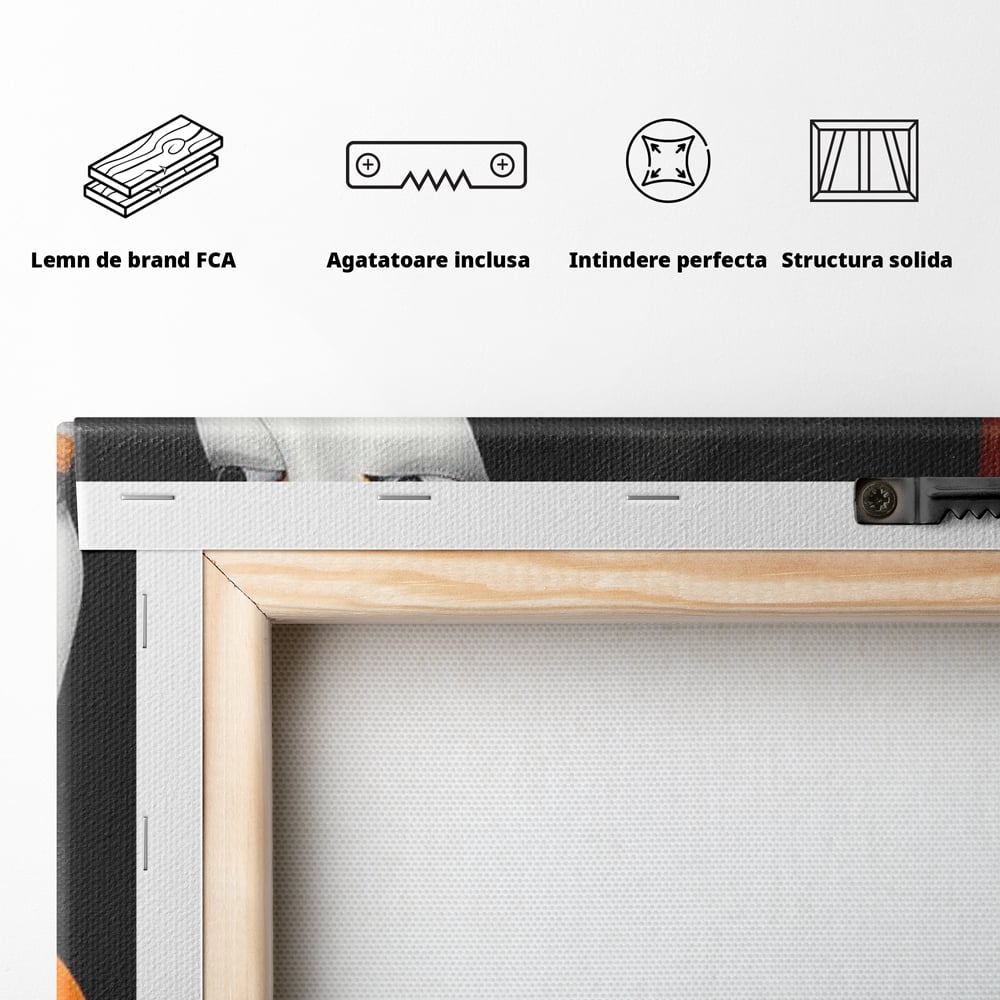 Tablou Canvas Premium, LuxCanva® G1213, Unirea Lumilor, Fete, Suflete, Alb, Negru, Portocaliu, Fusion, Simetrie, Portret, Diversitate, Poem, Umbra, Oglinda, Polaritate, Salon, Birou, Living, Dormitor