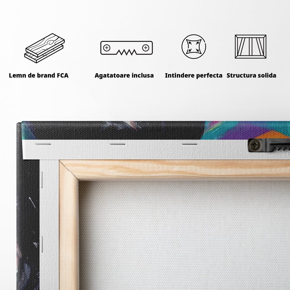 Tablou Canvas Premium, LuxCanva® G1216, Energia Tineretii, Privire, Curcubeu, Umbrela, Ploaie, Ochi, Turcoaz, Zambet, Cromatic, Neon, Vise, Aura, Dans, Melodie, Acvatic, Salon, Birou, Living,