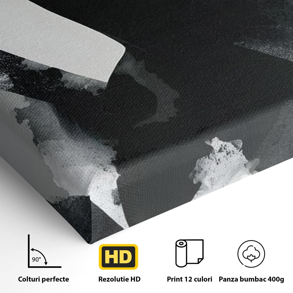 Leinwand Wandkunst Canvas Premium, LuxCanva® G1218, Schwarz-Weiß-Gedicht, Eleganz, Dame, Macht, Silhouette, Schatten, Muse, Anmut, Ewigkeit, Dunkelheit, Königin, Licht, Königin, Licht, Taina, Wohnzimmer, Büro, Wohnzimmer, Schlafzimmer