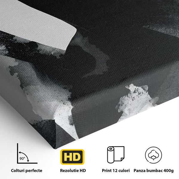 Leinwand Wandkunst Canvas Premium, LuxCanva® G1218, Schwarz-Weiß-Gedicht, Eleganz, Dame, Macht, Silhouette, Schatten, Muse, Anmut, Ewigkeit, Dunkelheit, Königin, Licht, Königin, Licht, Taina, Wohnzimmer, Büro, Wohnzimmer, Schlafzimmer