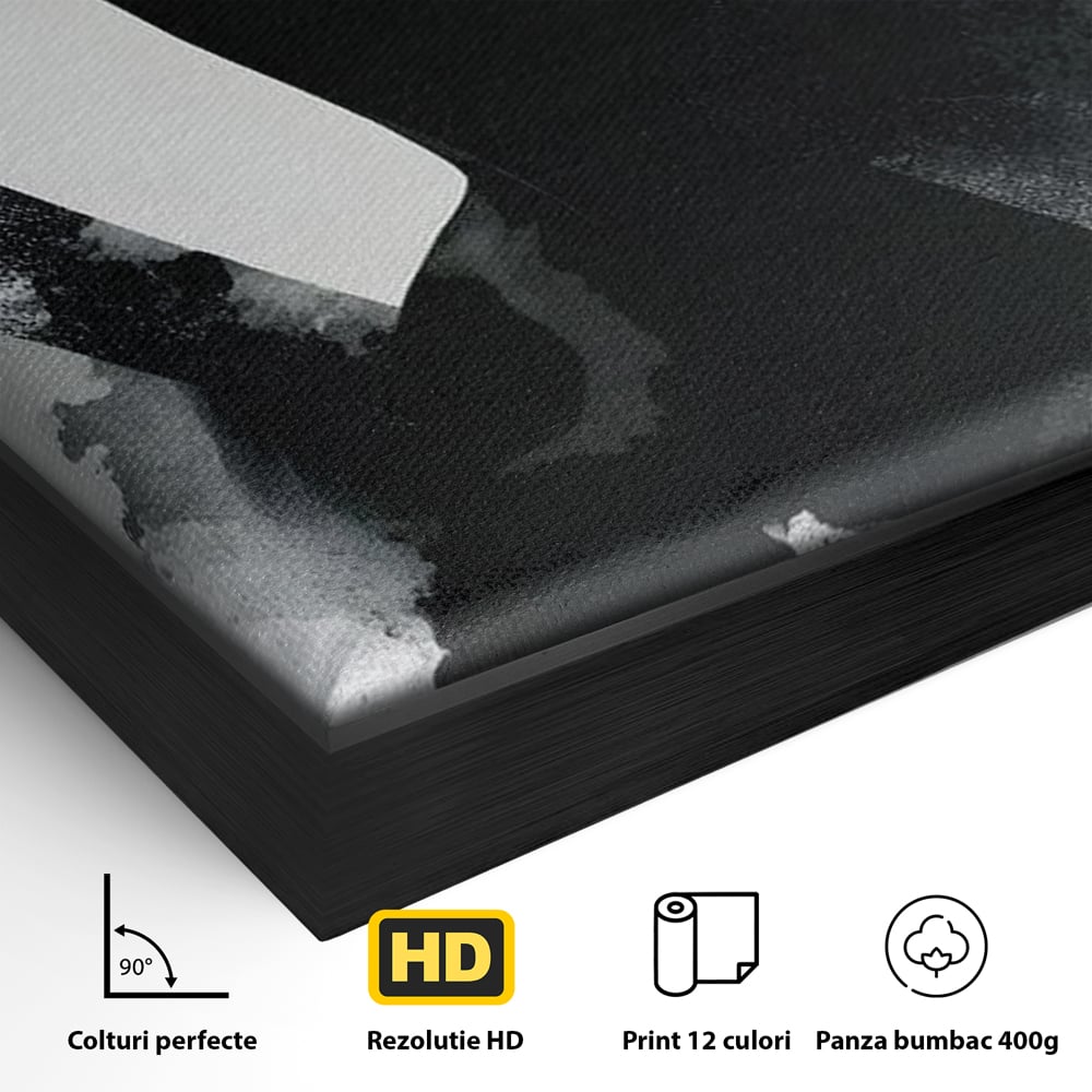 Leinwand Wandkunst Canvas Premium, LuxCanva® G1218, Schwarz-Weiß-Gedicht, Eleganz, Dame, Macht, Silhouette, Schatten, Muse, Anmut, Ewigkeit, Dunkelheit, Königin, Licht, Königin, Licht, Taina, Wohnzimmer, Büro, Wohnzimmer, Schlafzimmer
