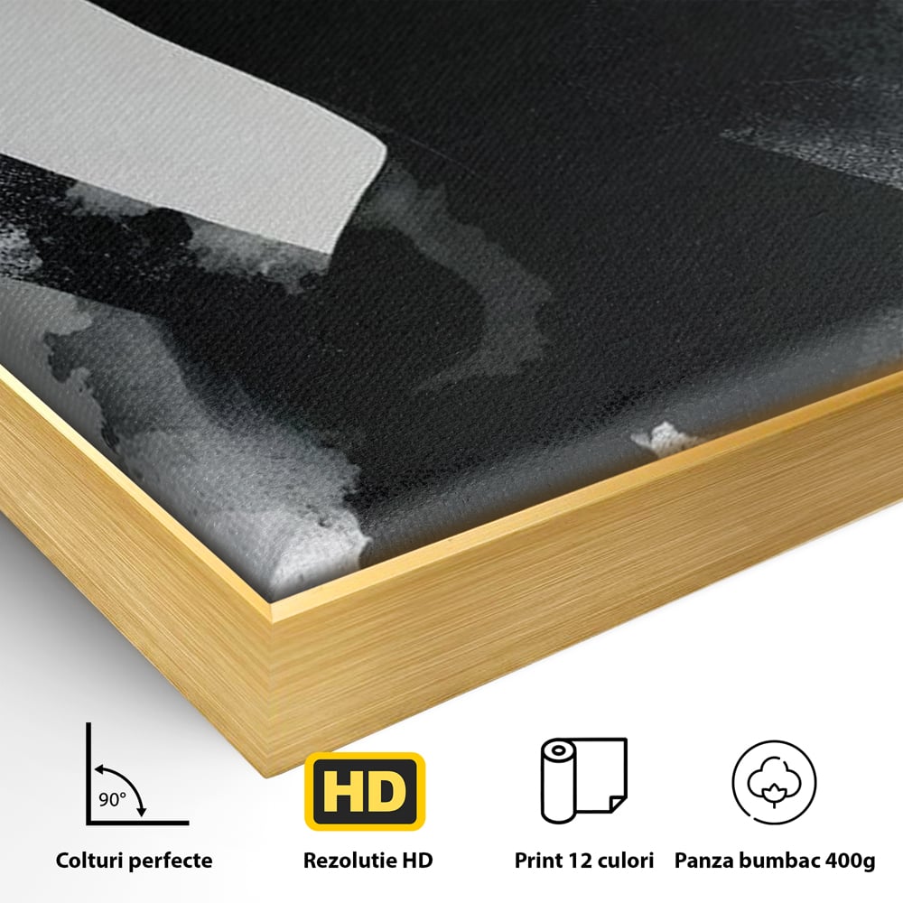 Leinwand Wandkunst Canvas Premium, LuxCanva® G1218, Schwarz-Weiß-Gedicht, Eleganz, Dame, Macht, Silhouette, Schatten, Muse, Anmut, Ewigkeit, Dunkelheit, Königin, Licht, Königin, Licht, Taina, Wohnzimmer, Büro, Wohnzimmer, Schlafzimmer