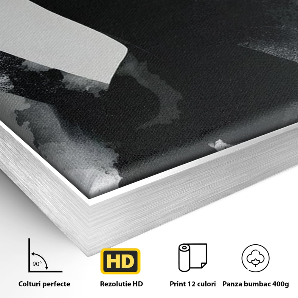 Leinwand Wandkunst Canvas Premium, LuxCanva® G1218, Schwarz-Weiß-Gedicht, Eleganz, Dame, Macht, Silhouette, Schatten, Muse, Anmut, Ewigkeit, Dunkelheit, Königin, Licht, Königin, Licht, Taina, Wohnzimmer, Büro, Wohnzimmer, Schlafzimmer