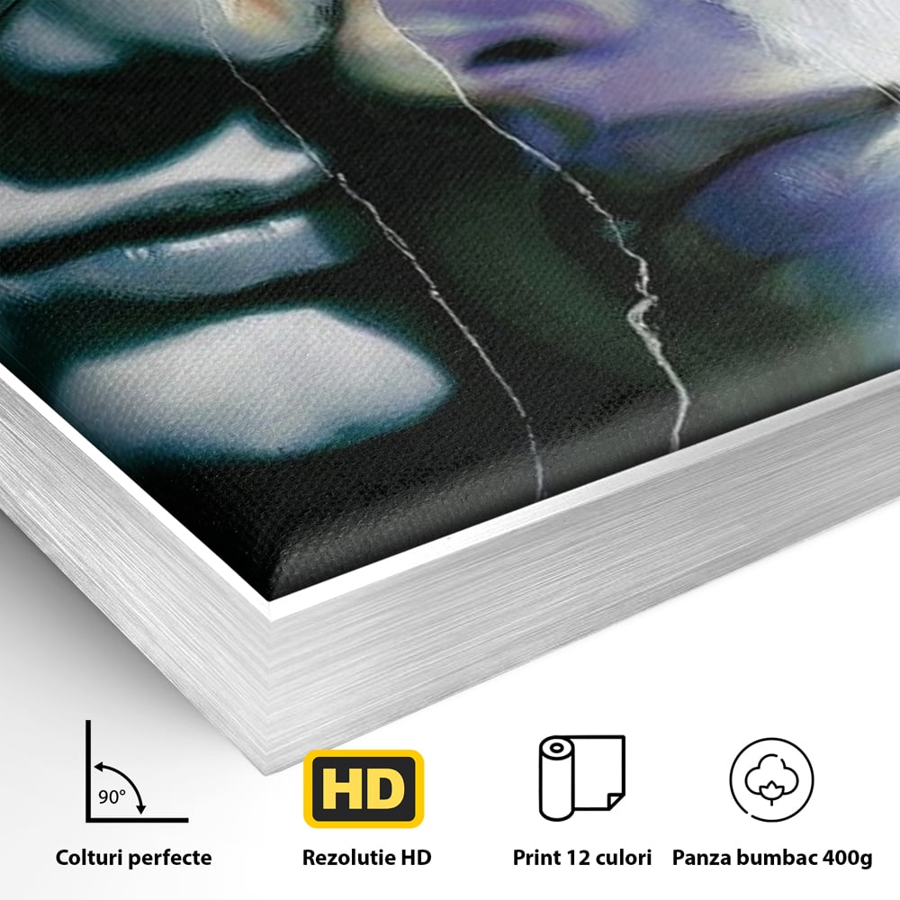 Tablou Canvas Premium, LuxCanva® G1242, Tacerea Dintre Noi, Cioburi, Rupt, Intreg, Iubire, El, Ea, Ochelari, Tacere, Atingeri, Dor, Unire, Fragilitate, Chipuri, Noi, Suflet, Cuplu, Salon, Living, Dormitor