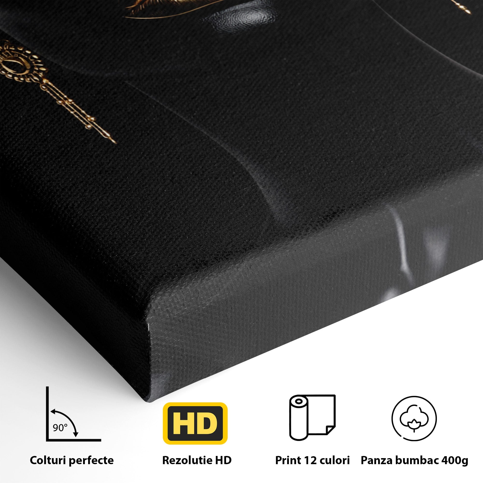 Tablou Canvas Premium LuxCanva® G1248, Portret Elegant, Portret, Eleganta, Arta, Modern, Dormitor, Culori Vibrante