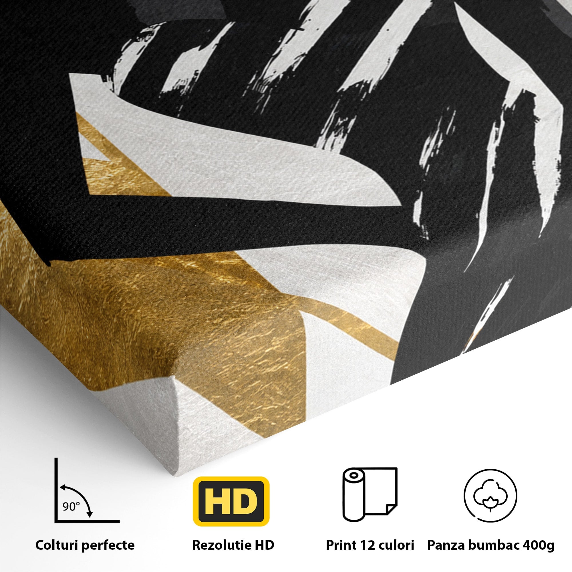Tablou Canvas Premium LuxCanva® G1249, Silueta Eleganta, Silueta, Eleganta, Abstract, Birou, Dormitor, Culori Vibrante