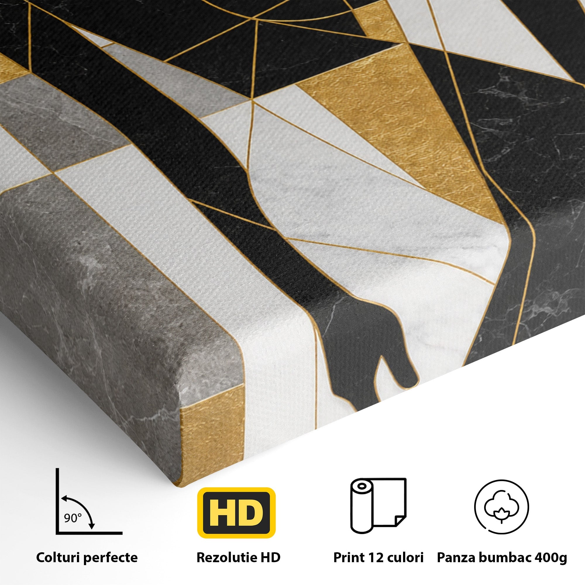 Tablou Canvas Premium LuxCanva® G1250, Silhueta Eleganta, Silhueta, Abstract, Eleganta, Modern, Birou, Culori Vibrante
