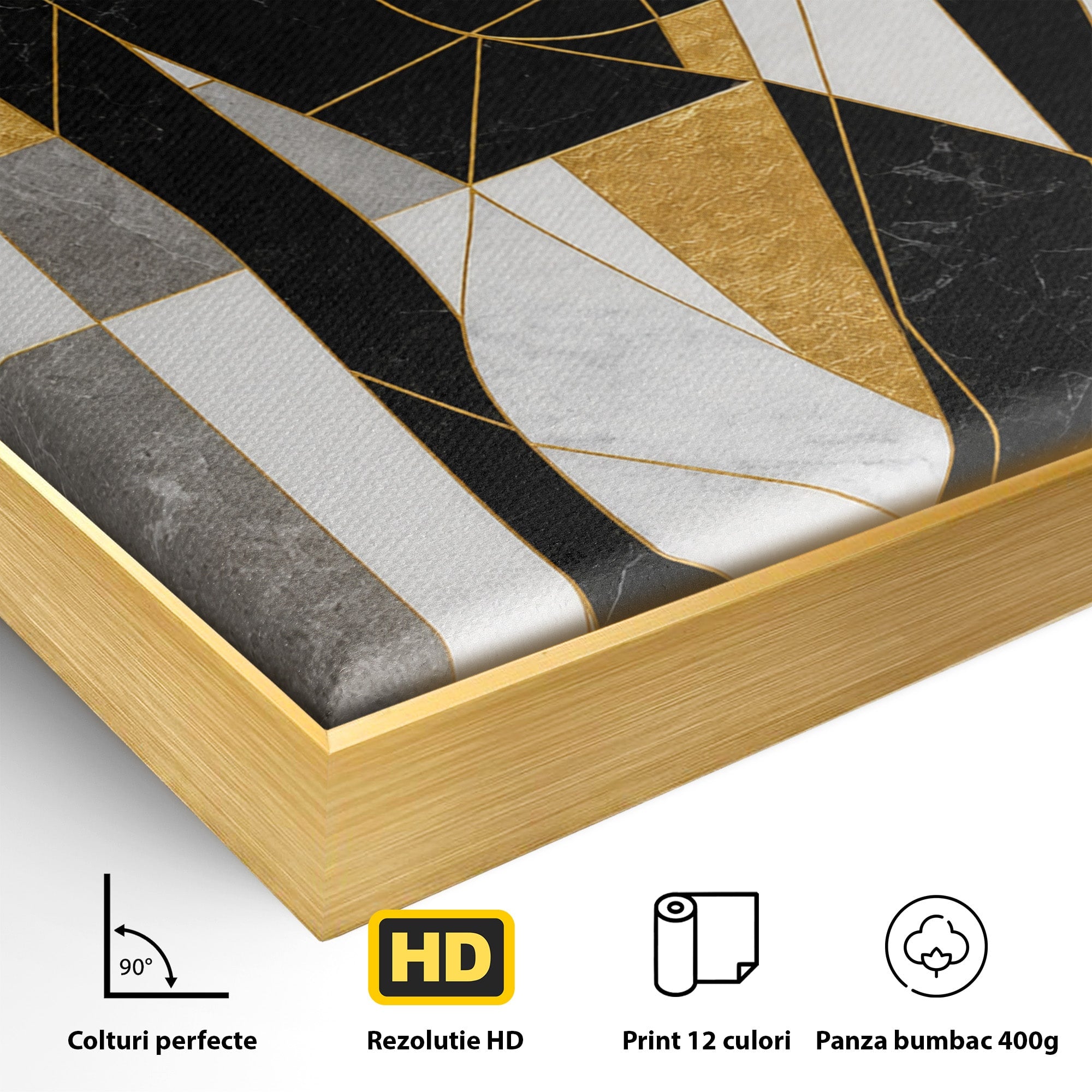 Tablou Canvas Premium LuxCanva® G1250, Silhueta Eleganta, Silhueta, Abstract, Eleganta, Modern, Birou, Culori Vibrante