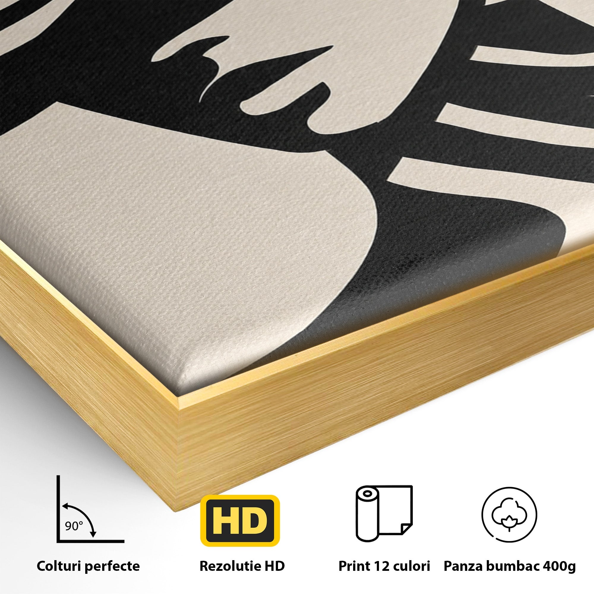 Tablou Canvas Premium LuxCanva® G1257, Silueta Eleganta, Portret, Moda, Stil, Eleganta, Dormitor, Culori Vibrante
