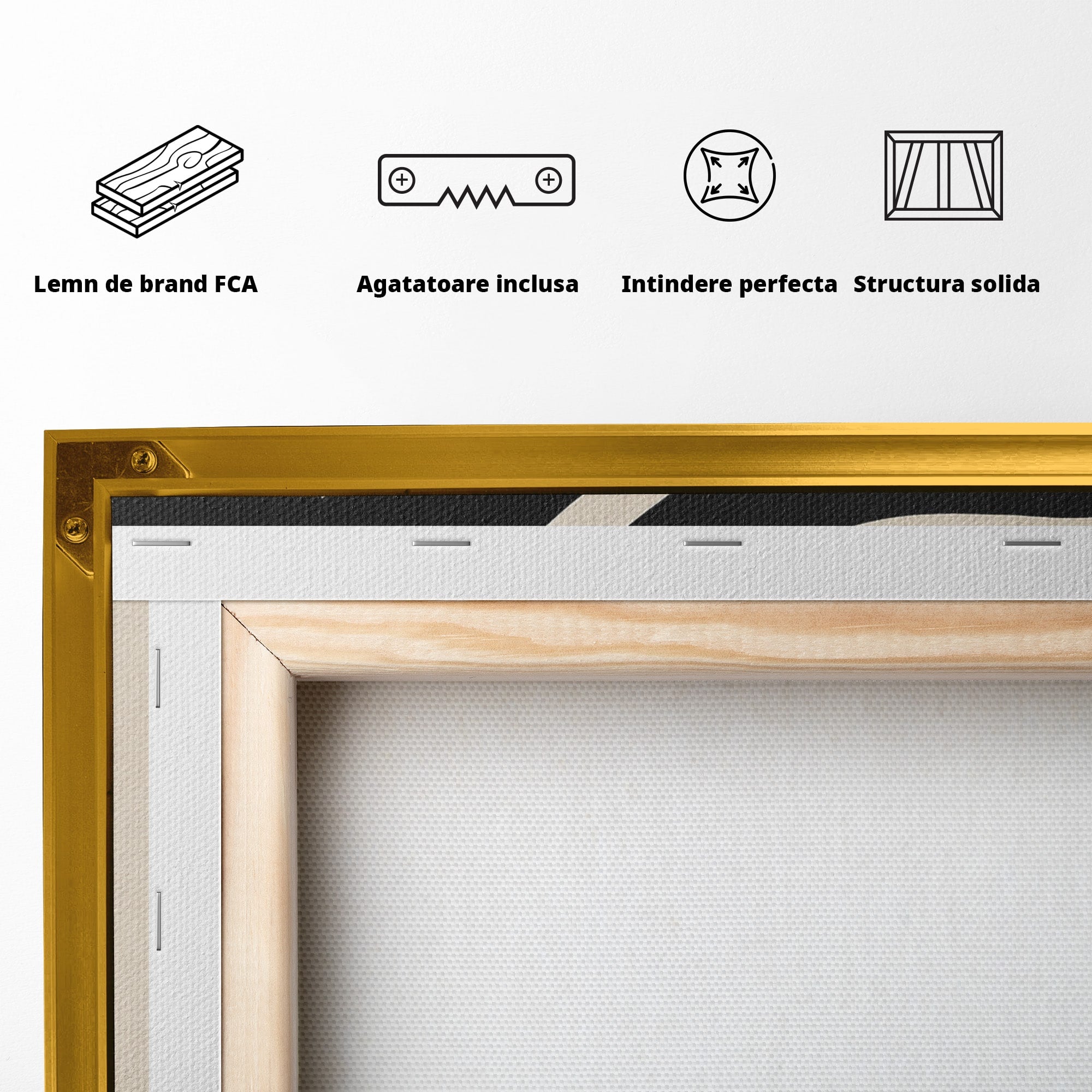 Tablou Canvas Premium LuxCanva® G1257, Silueta Eleganta, Portret, Moda, Stil, Eleganta, Dormitor, Culori Vibrante
