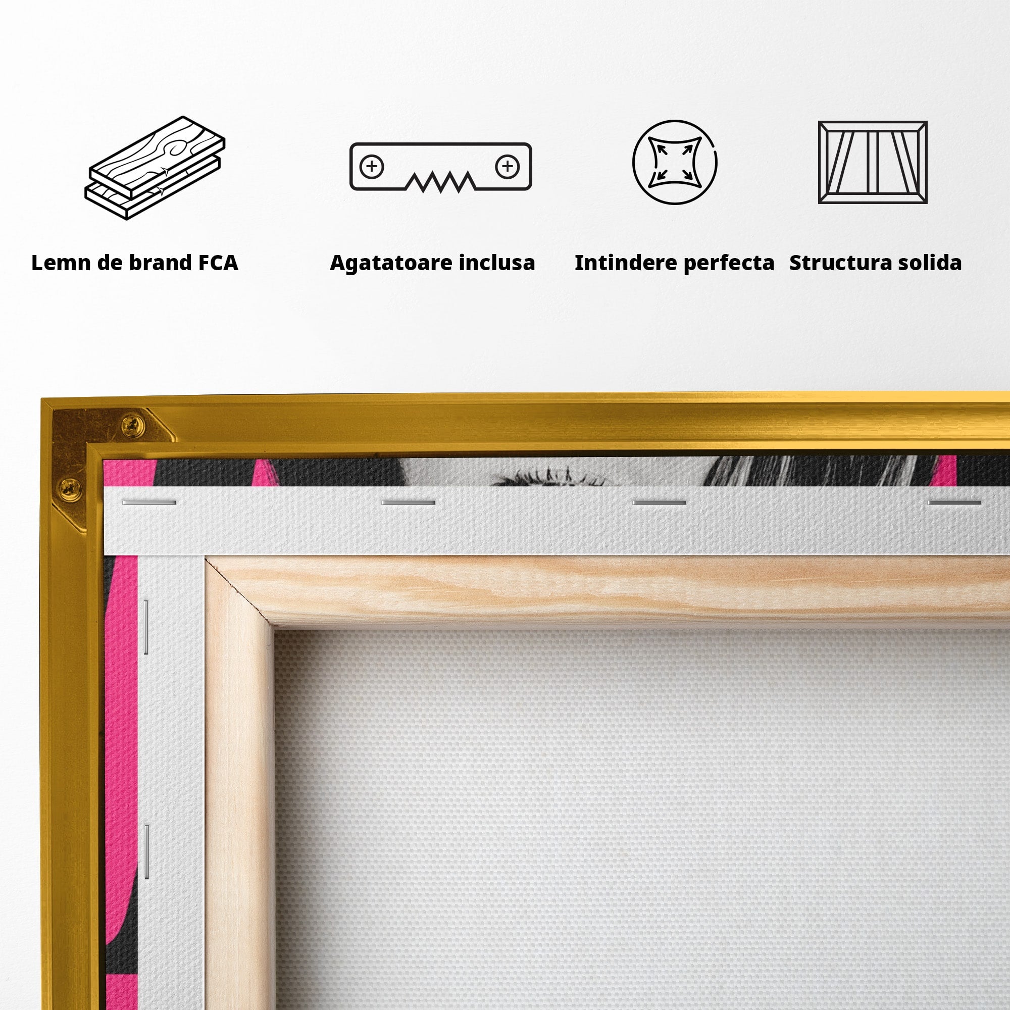 Tablou Canvas Premium LuxCanva® G1261, Femeie Jazz, Femeie, Jazz, Portret, Modern, Dormitor, Living, Culori Vibrante