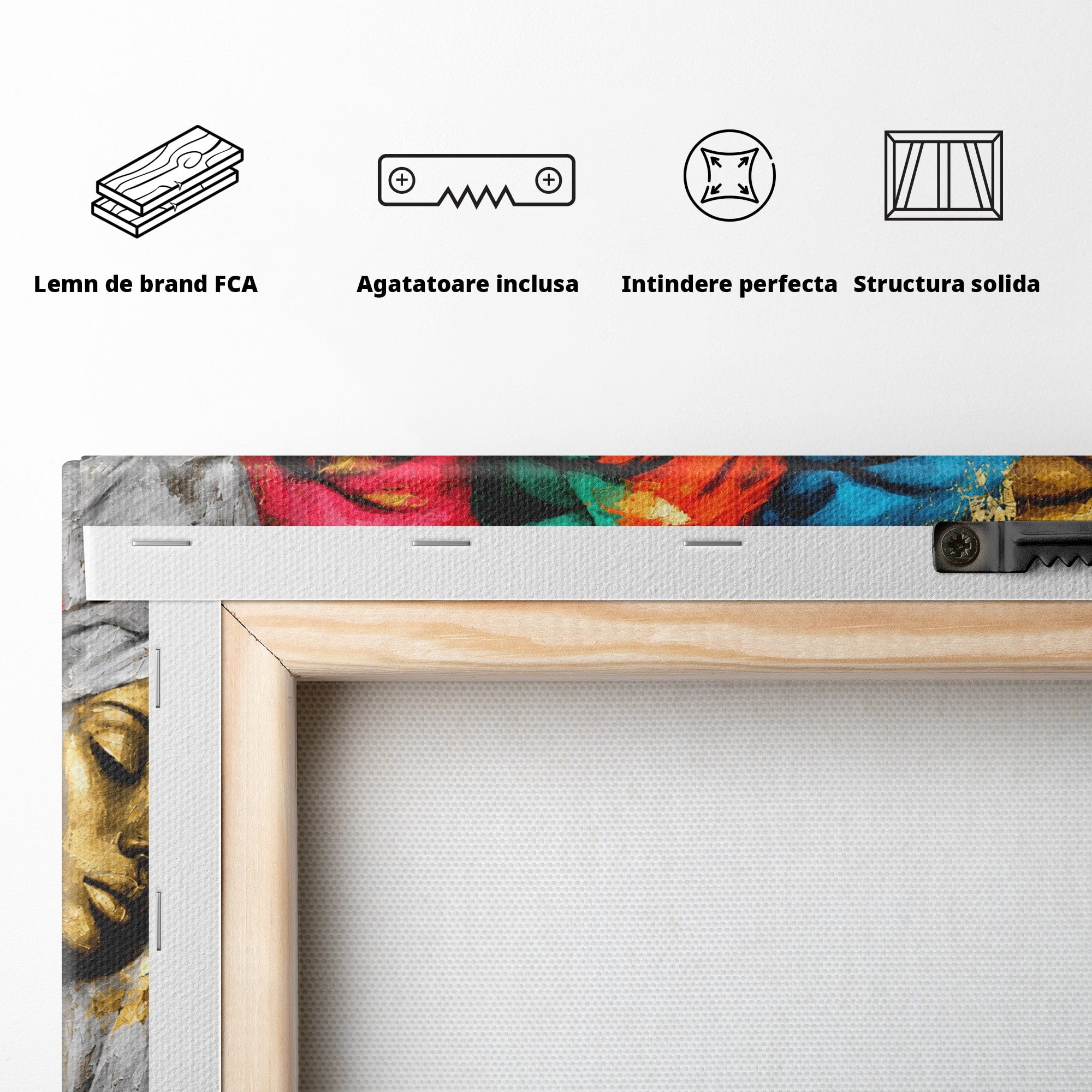 Tablou Canvas Premium LuxCanva® G1263, Frumusetea Diversitatii, Portret, Femei, Arta Abstracta, Dormitor, Living, Culori Vibrante