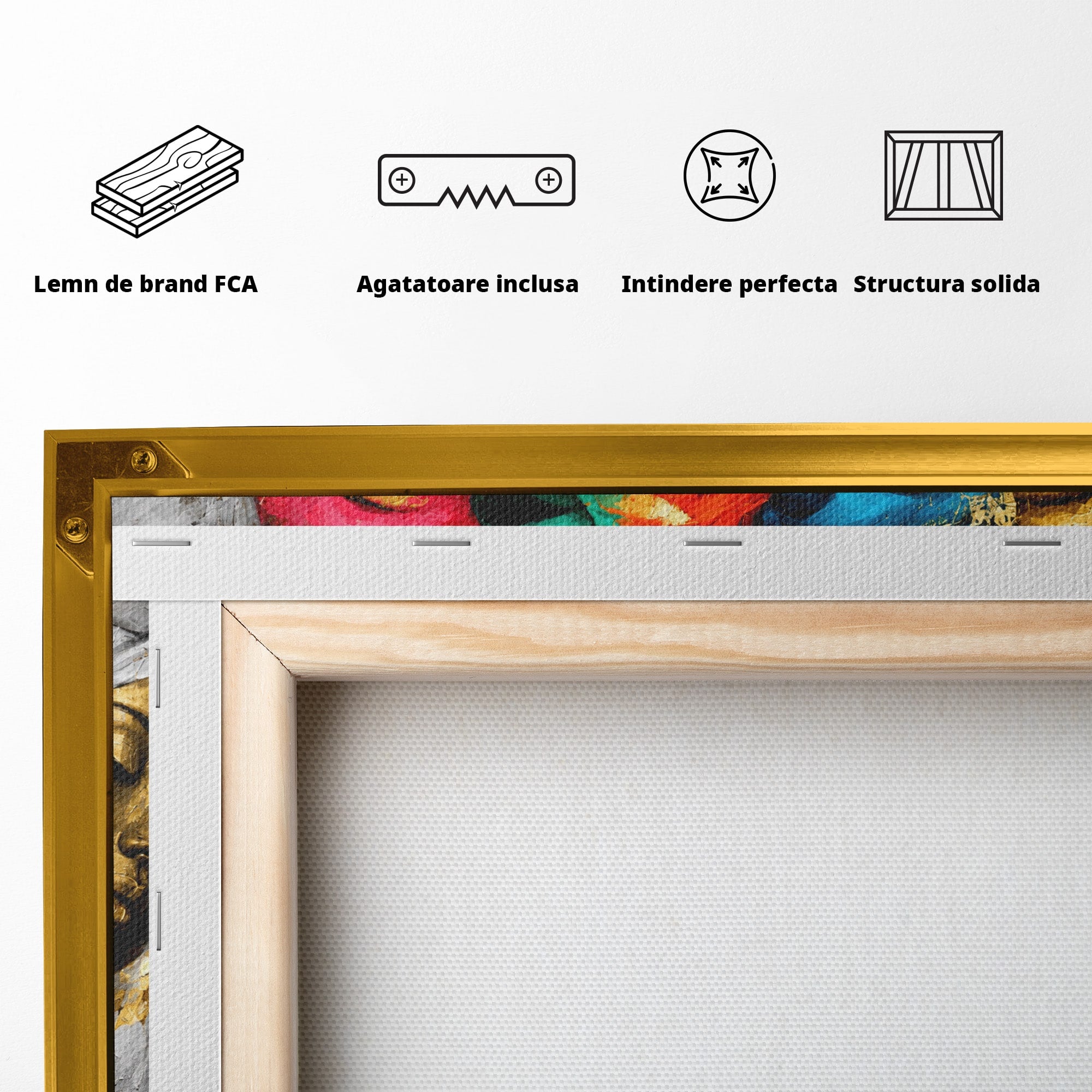 Tablou Canvas Premium LuxCanva® G1263, Frumusetea Diversitatii, Portret, Femei, Arta Abstracta, Dormitor, Living, Culori Vibrante